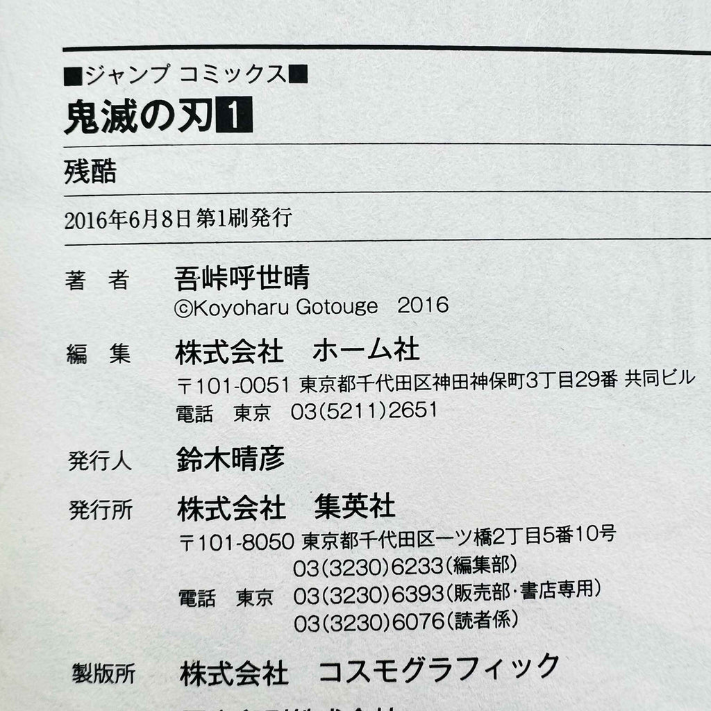 Demon Slayer - Volume 01