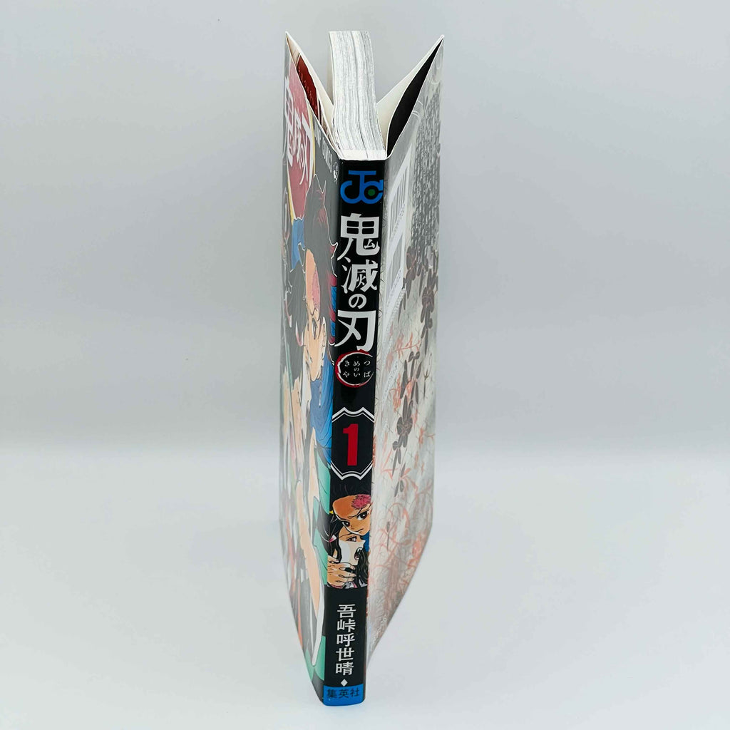 Demon Slayer - Volume 01