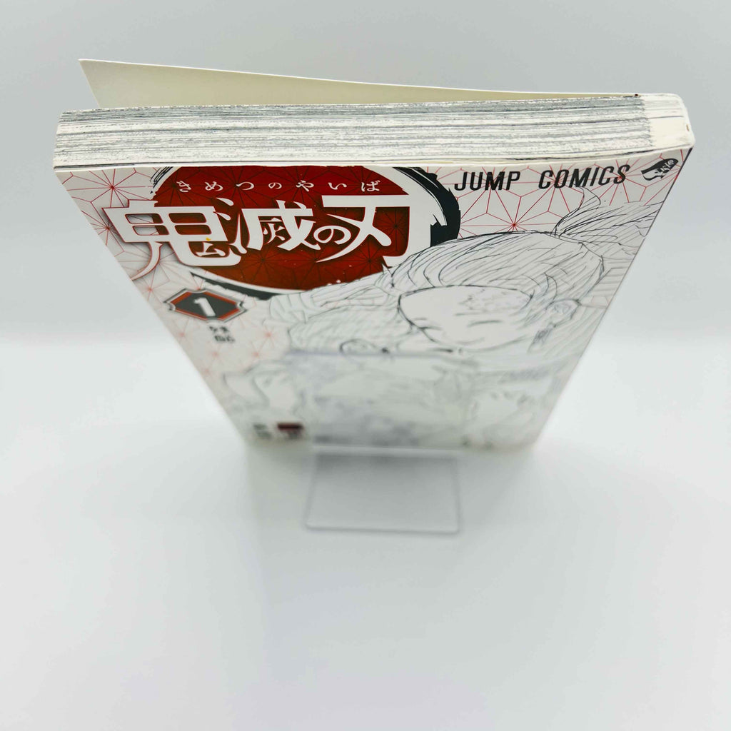 Demon Slayer - Volume 01