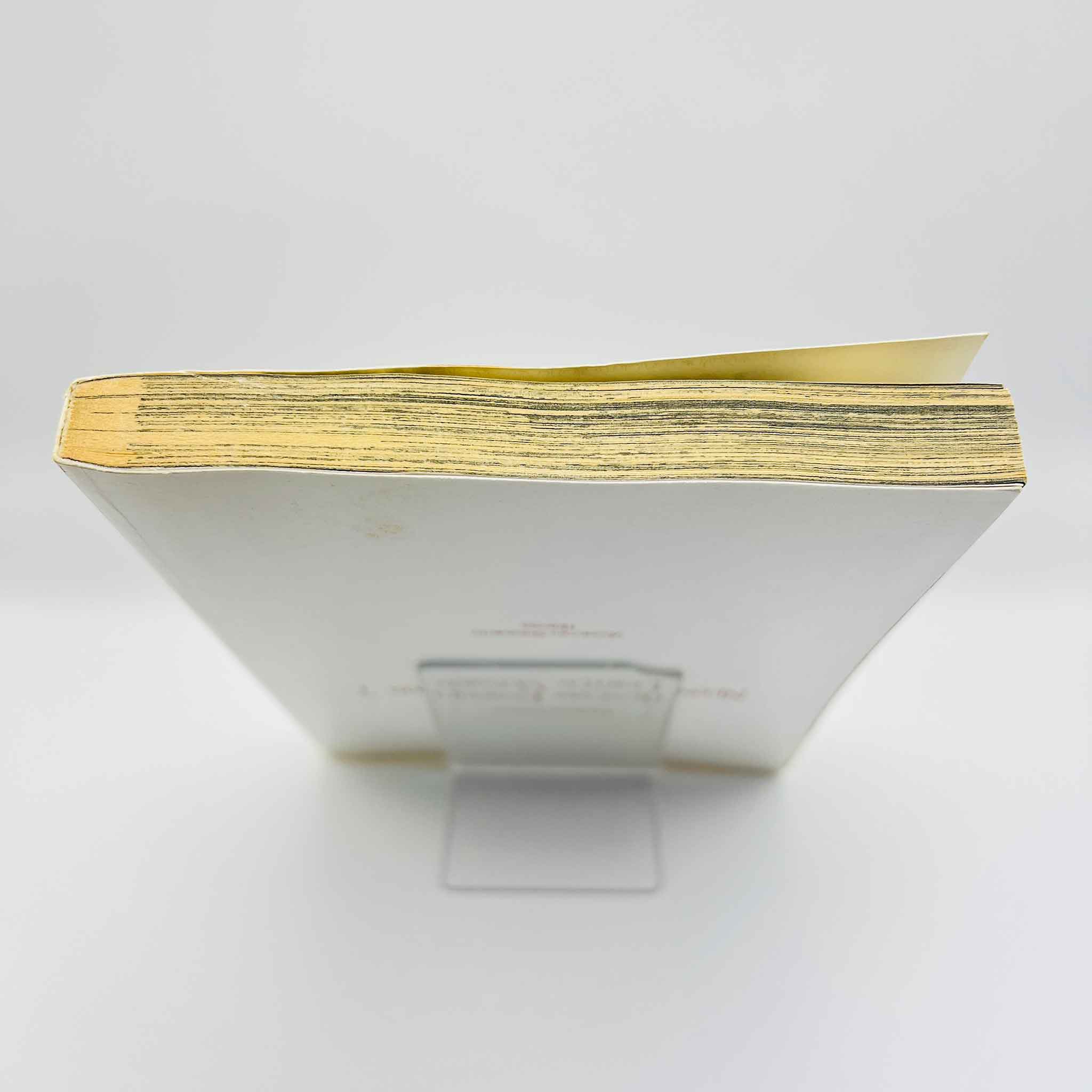 Neon Genesis Evangelion (Limited Version - Asuka) - Volume 07