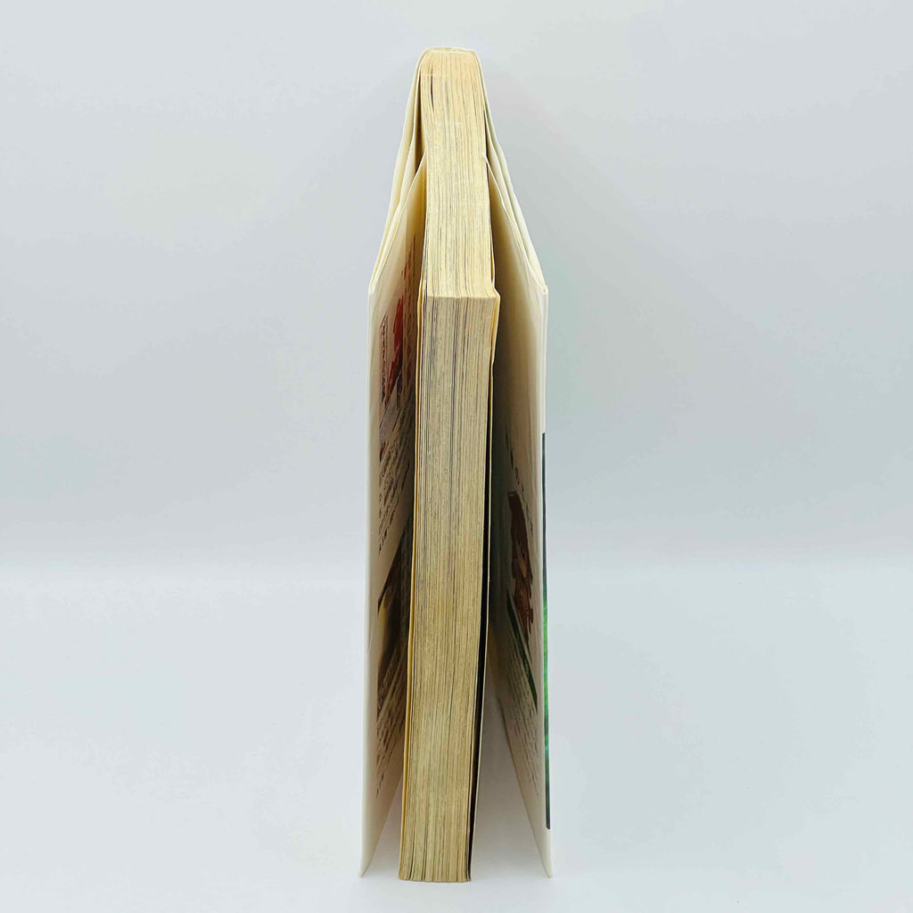 Zelda Ocarina of Time (Up)