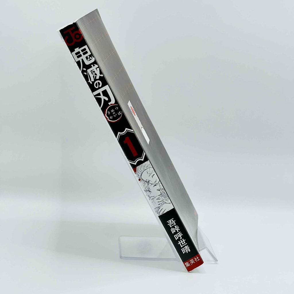 Demon Slayer - Volume 01