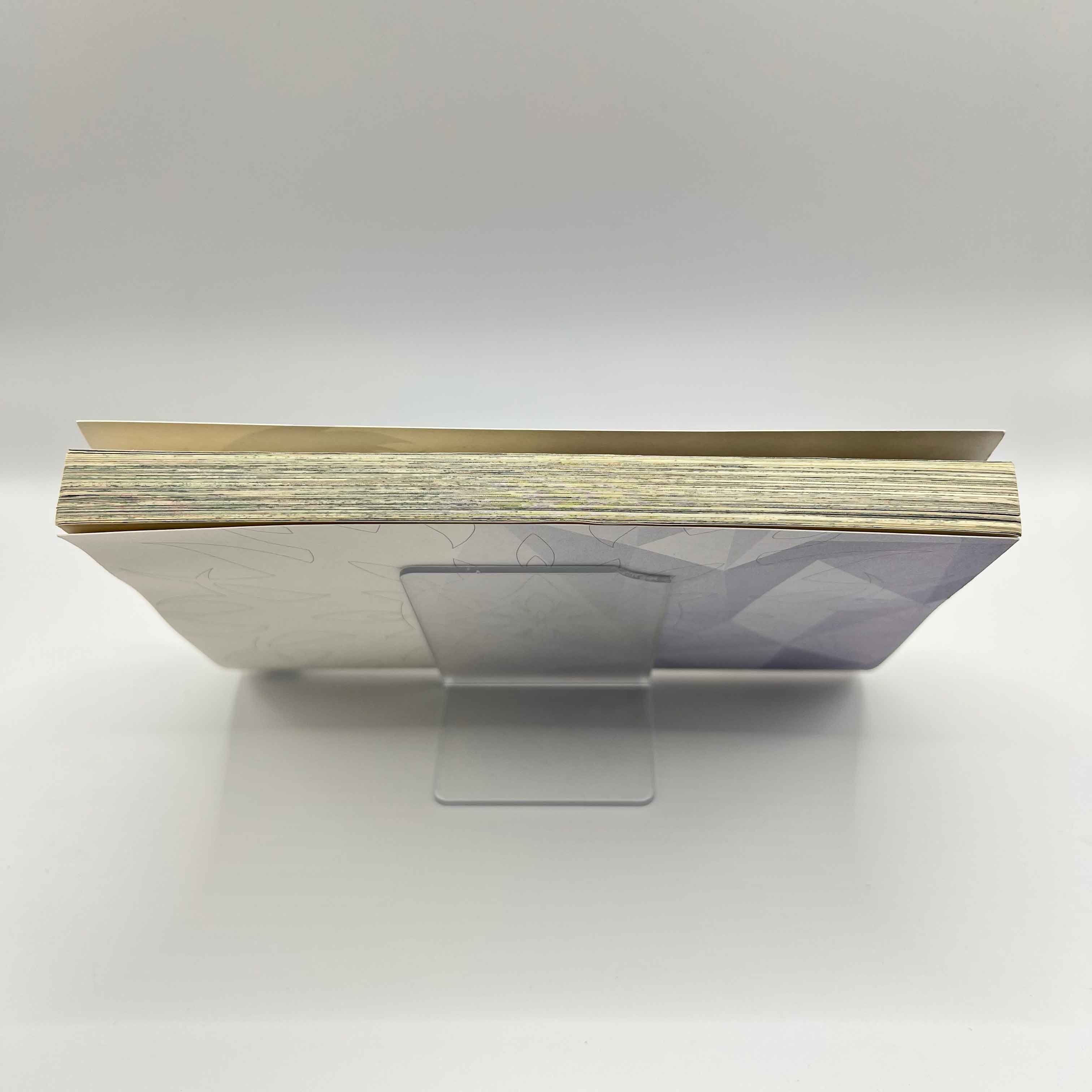 Fate / Grand Order - Turas : Realta - Volume 01 /w Obi