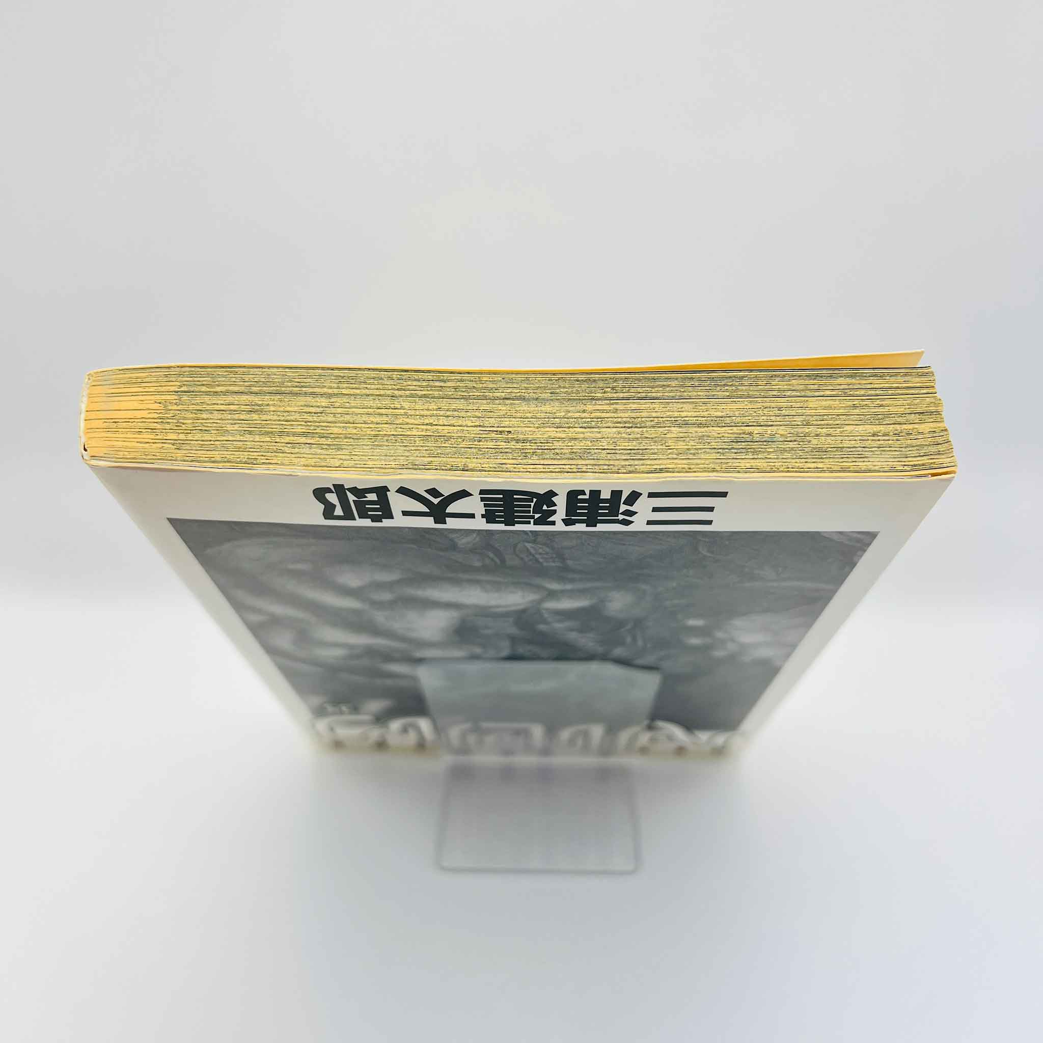 Berserk - Volume 35 /w Obi