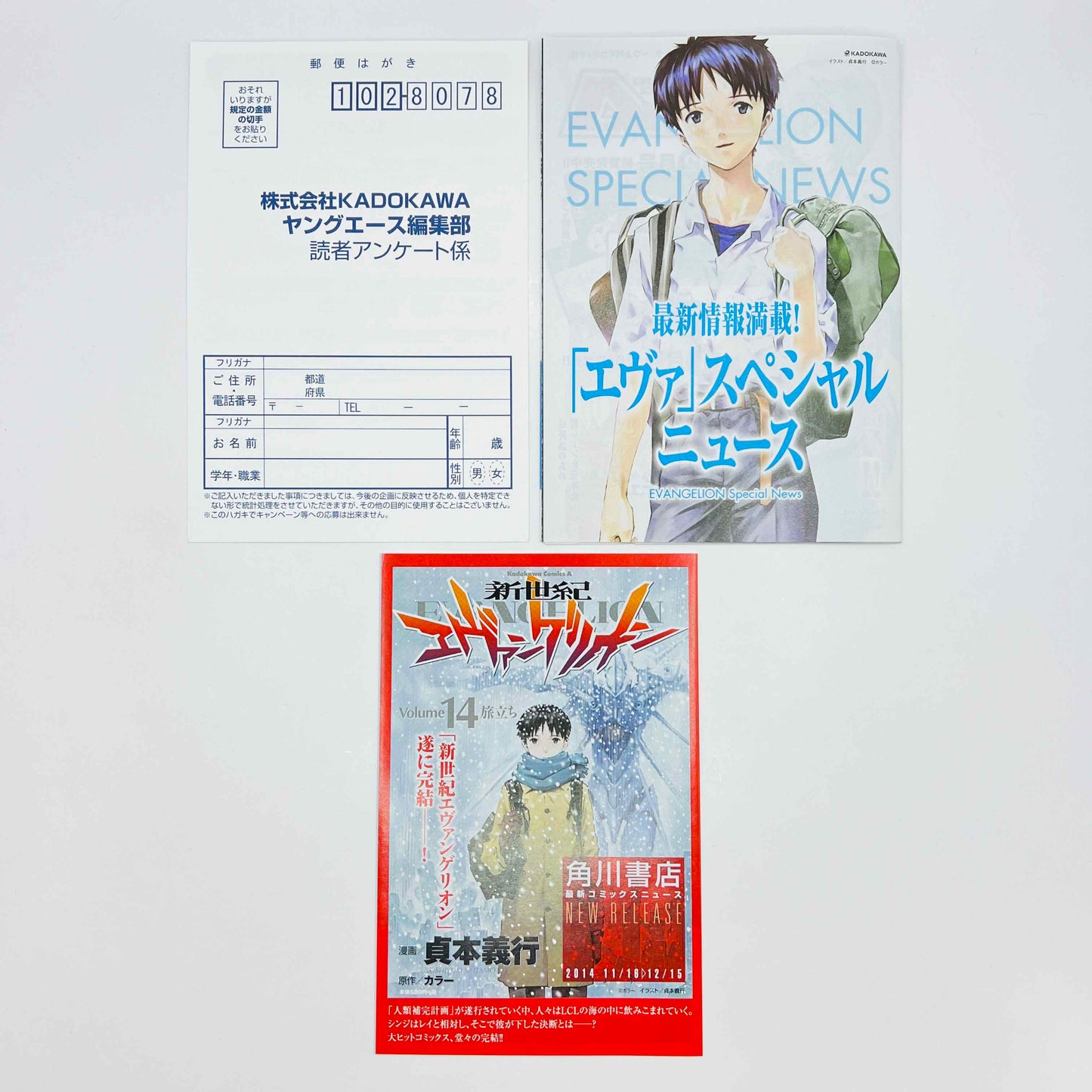 Neon Genesis Evangelion - Volume 14 /w Obi