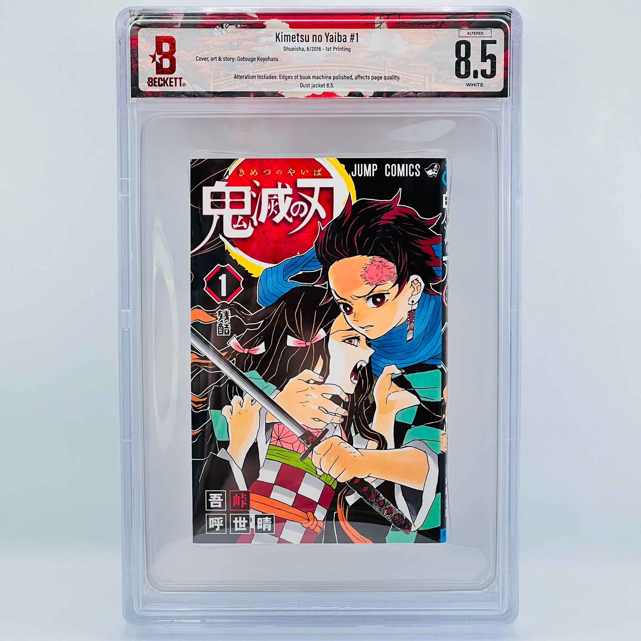BGS 8.5 - Demon Slayer Volume 01