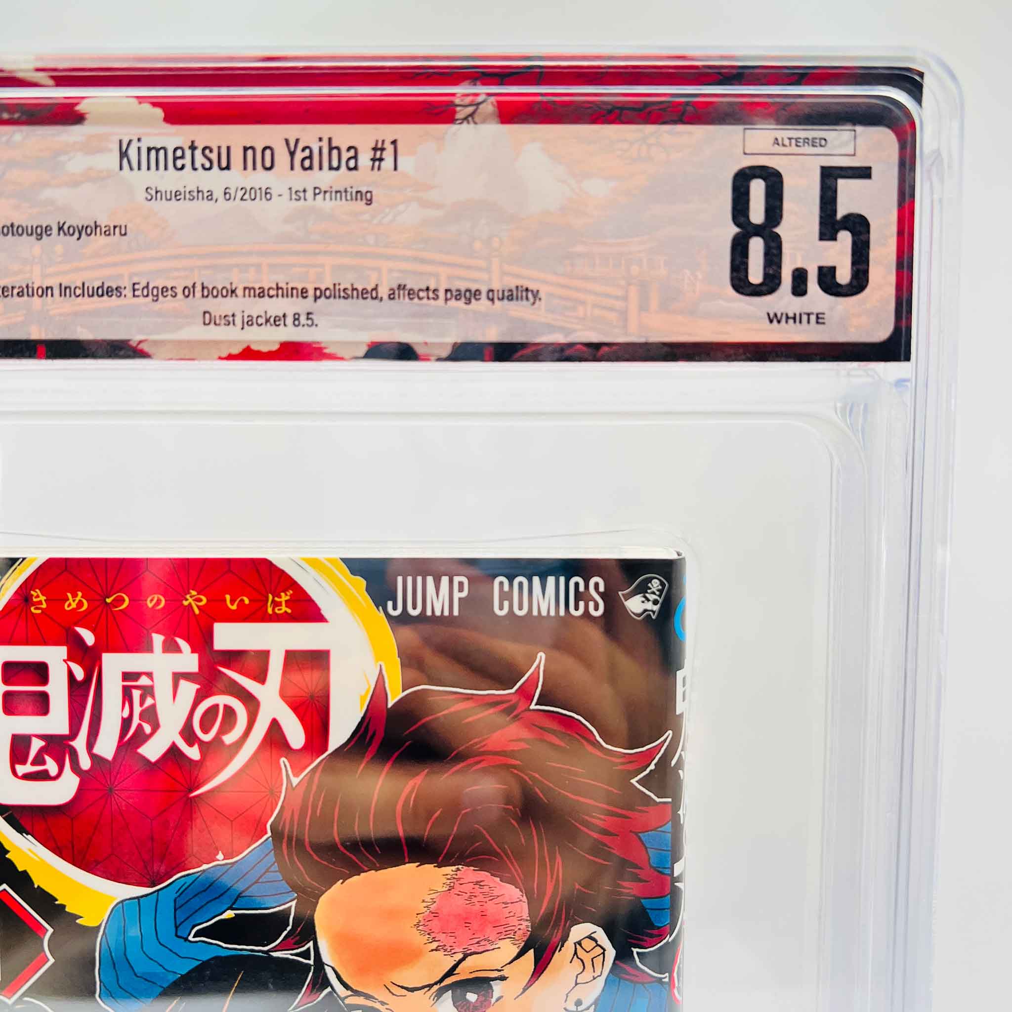 BGS 8.5 - Demon Slayer Volume 01