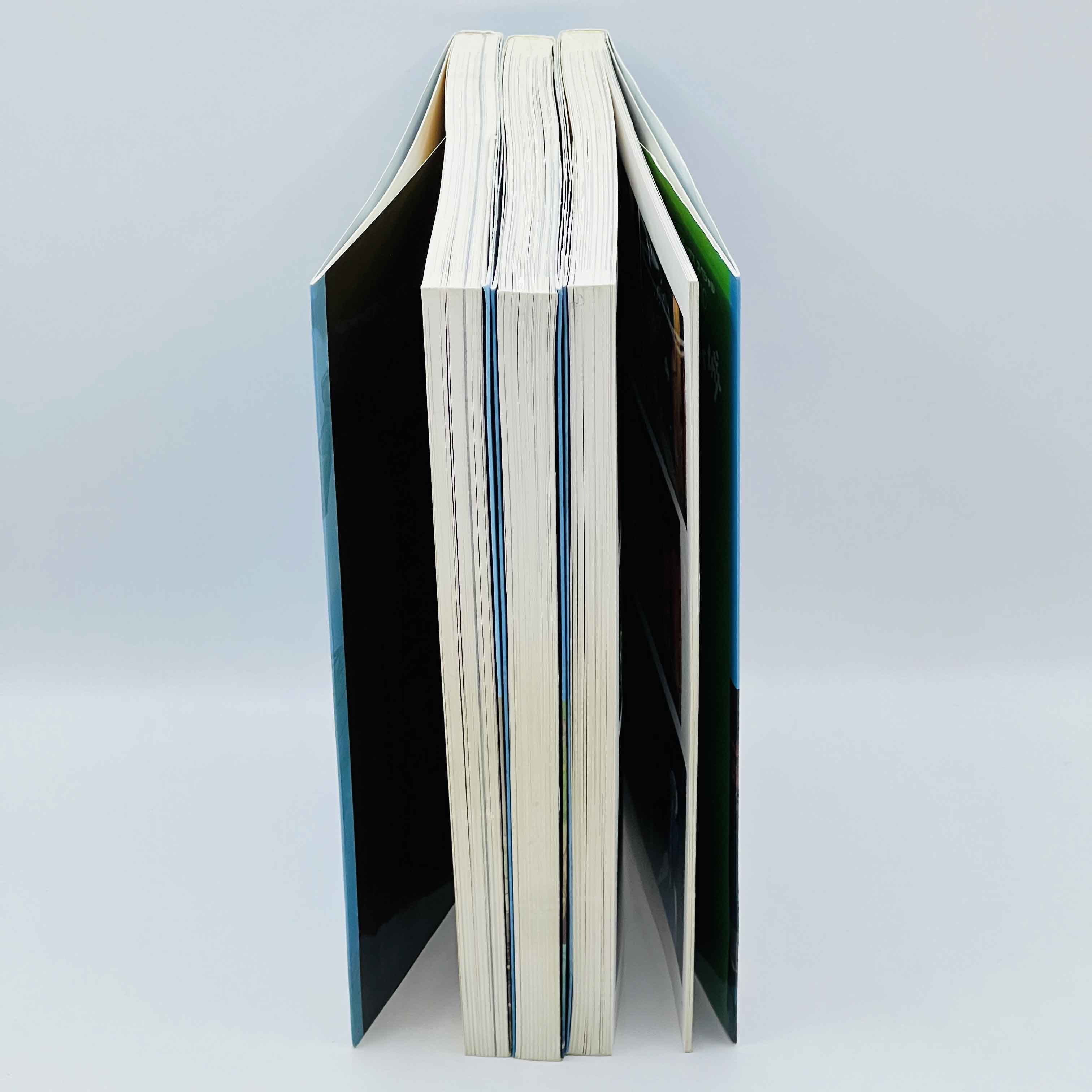 Howl's Moving Castle (Ghibli Anime Comics) - Volume 02 03 04 ~「Wish Reserved」