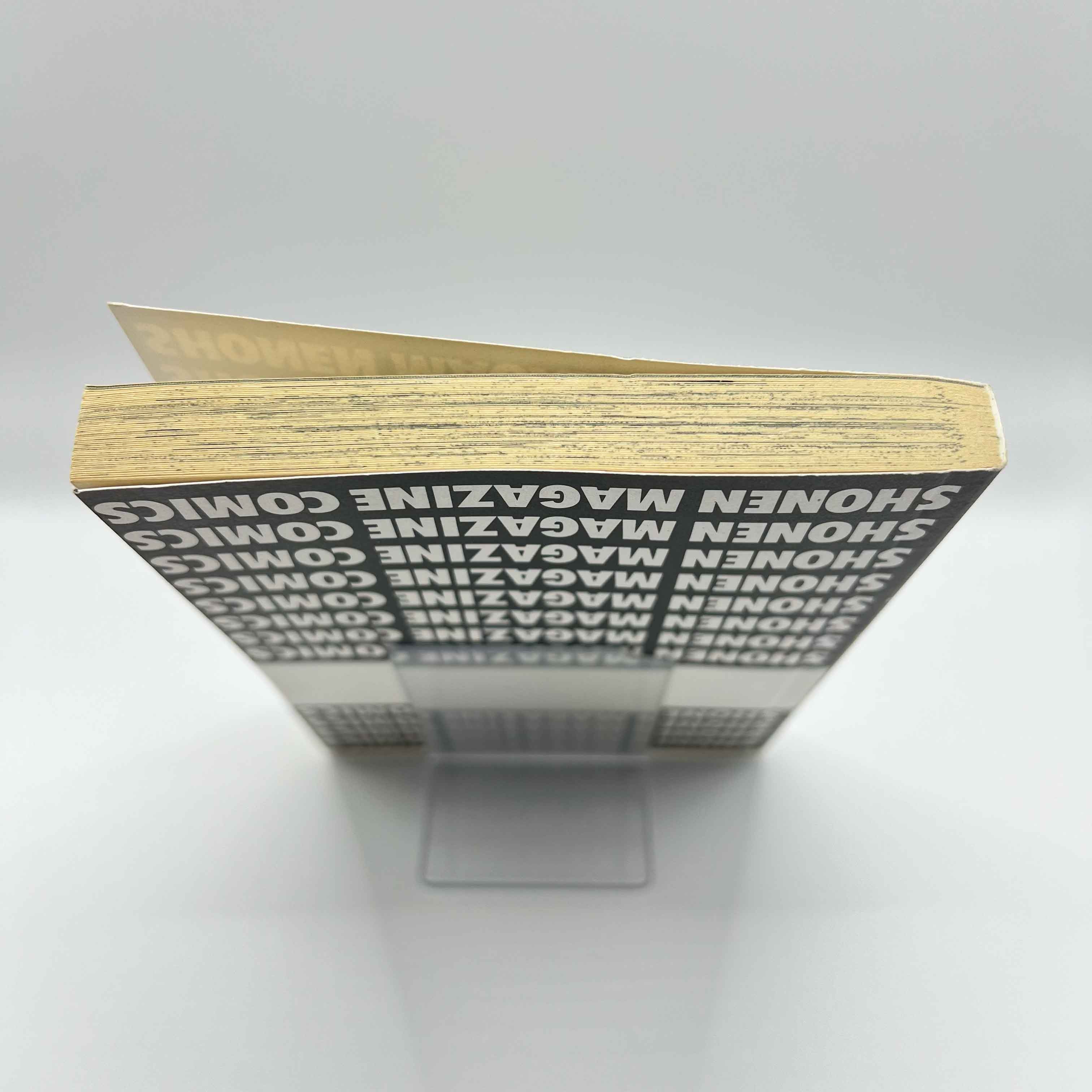 Fairy Tail - Volume 01