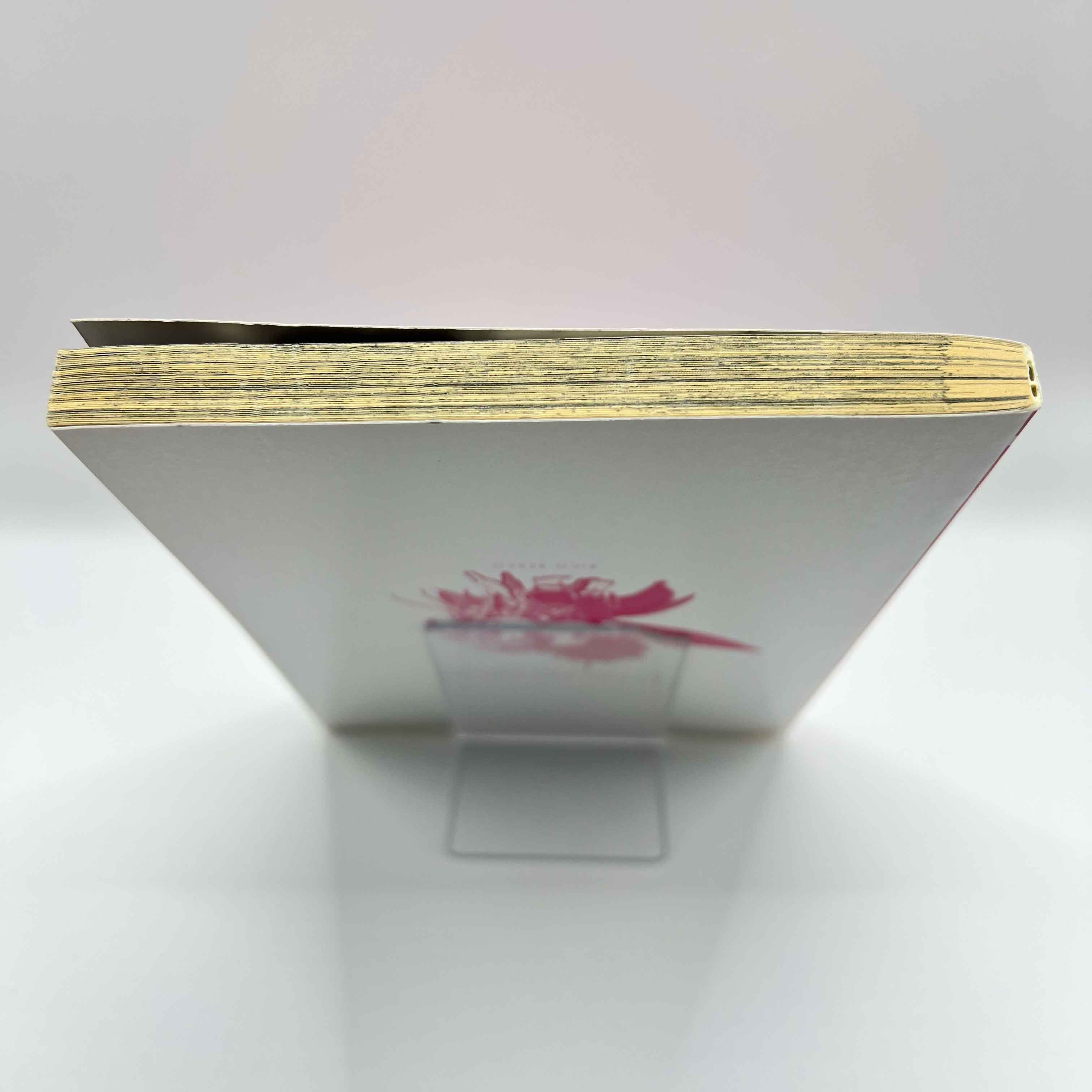 Sword Art Online - Kiss & Fly - Volume 01