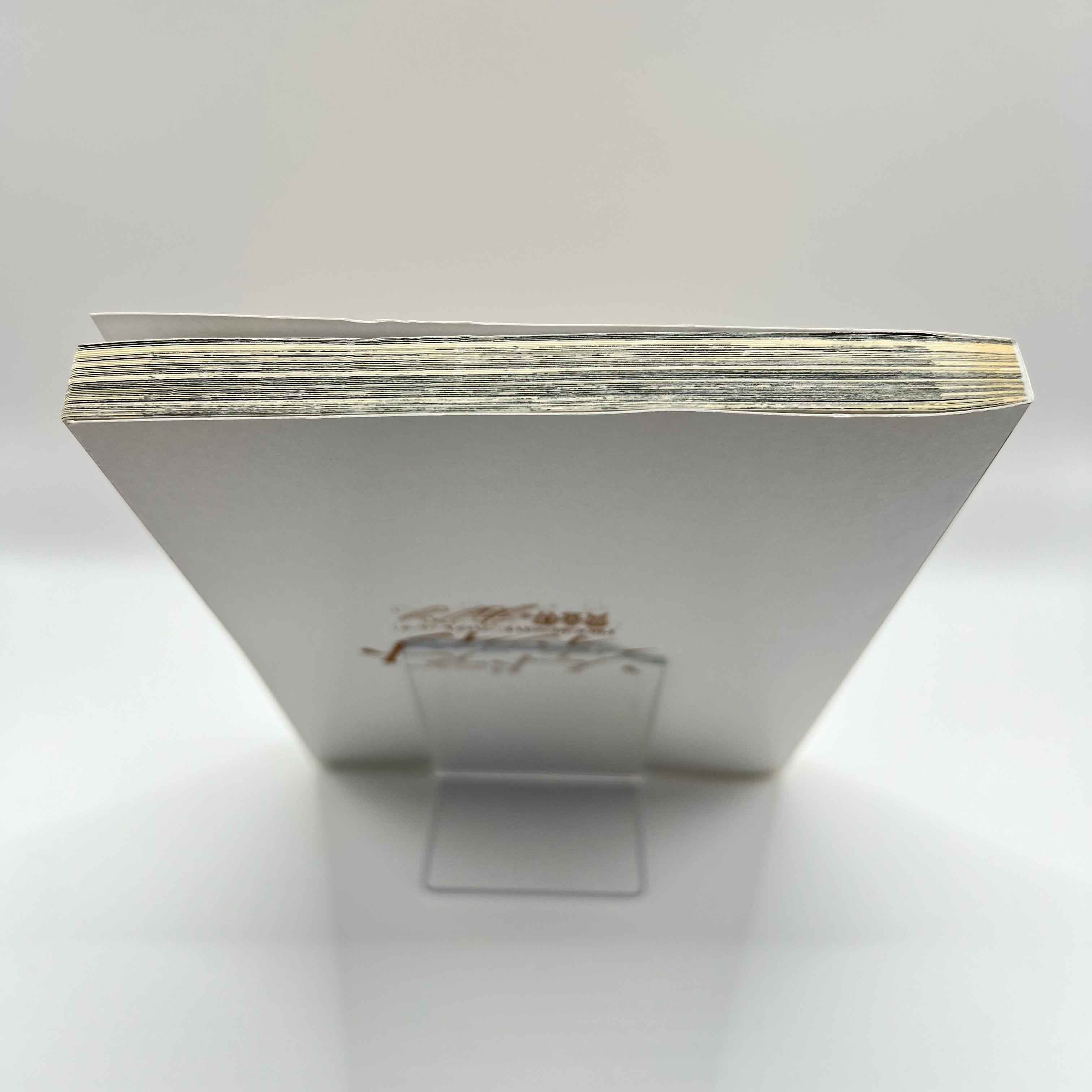 Sword Art Online - Progressive : Canon of the Golden Rule - Volume 01