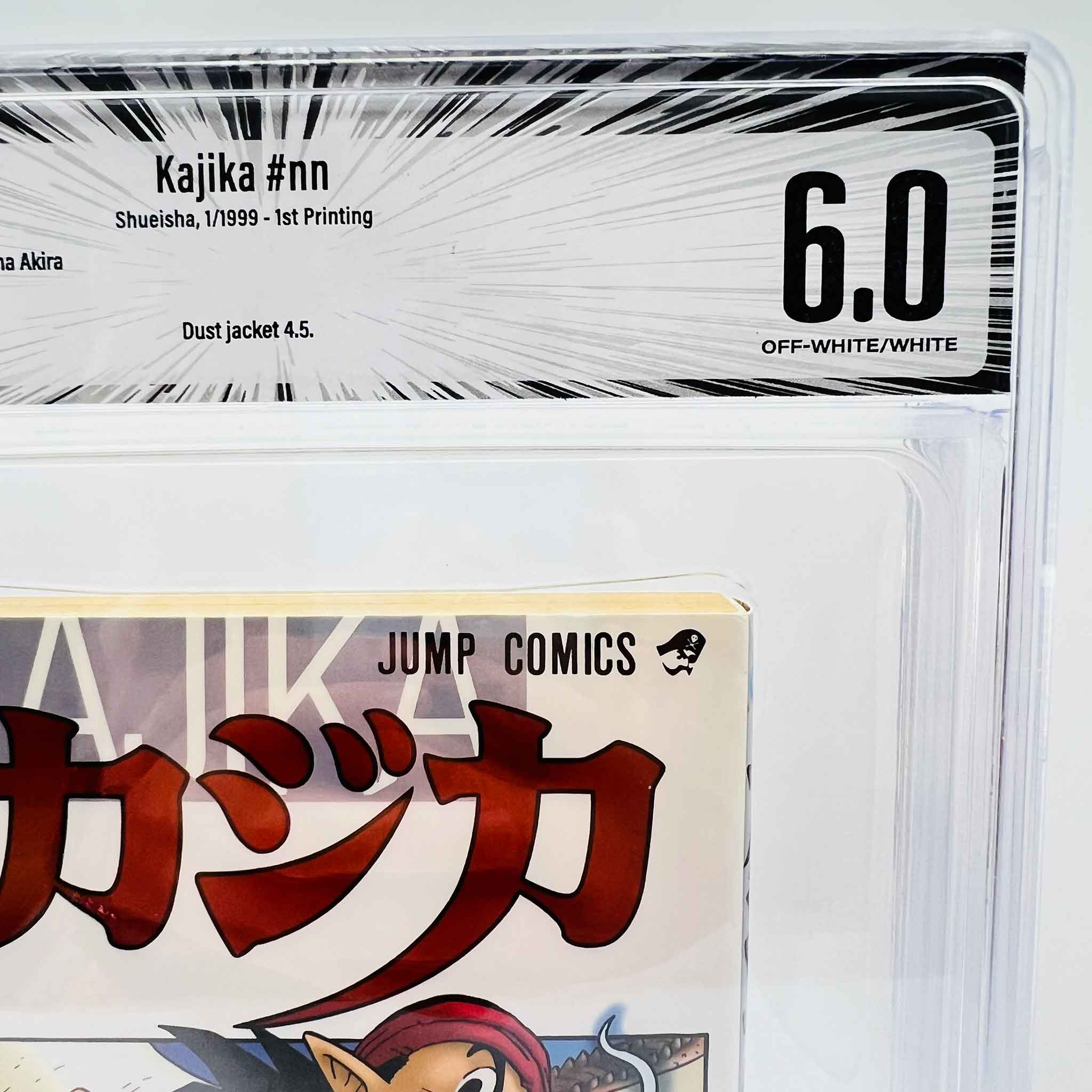 BGS 6.0 - Kajika