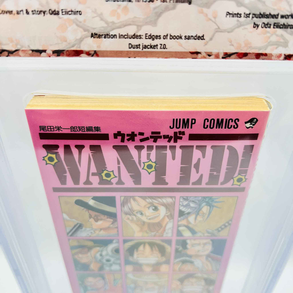 BGS 7.0 - One Piece Wanted