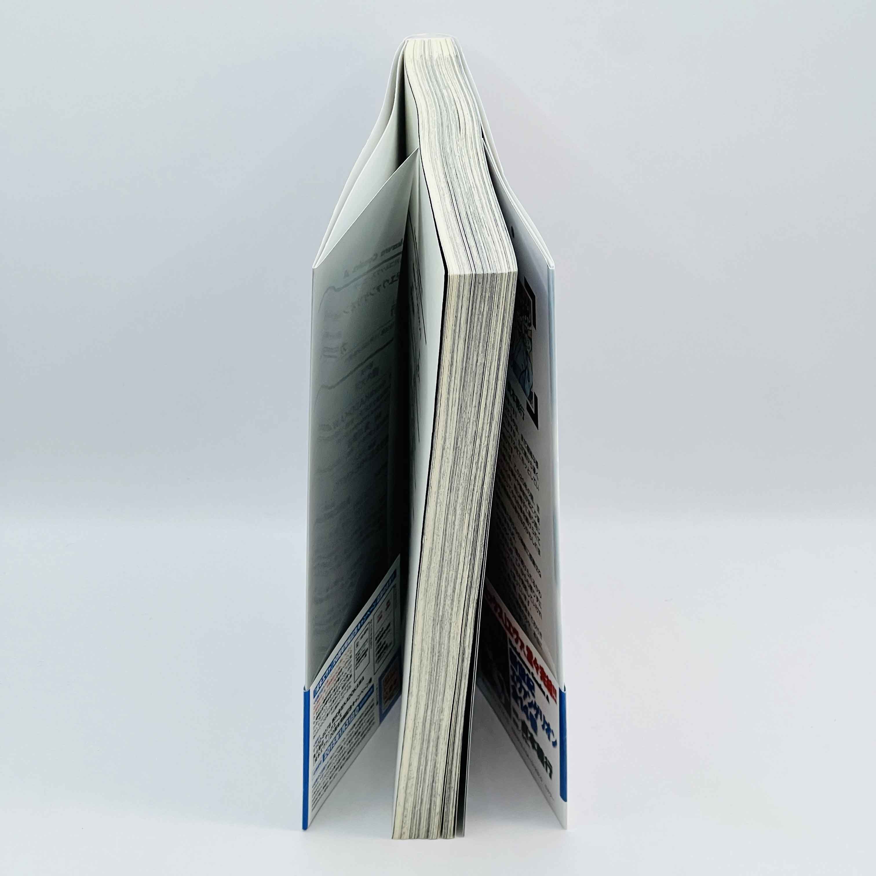 Neon Genesis Evangelion - Volume 14 /w Obi