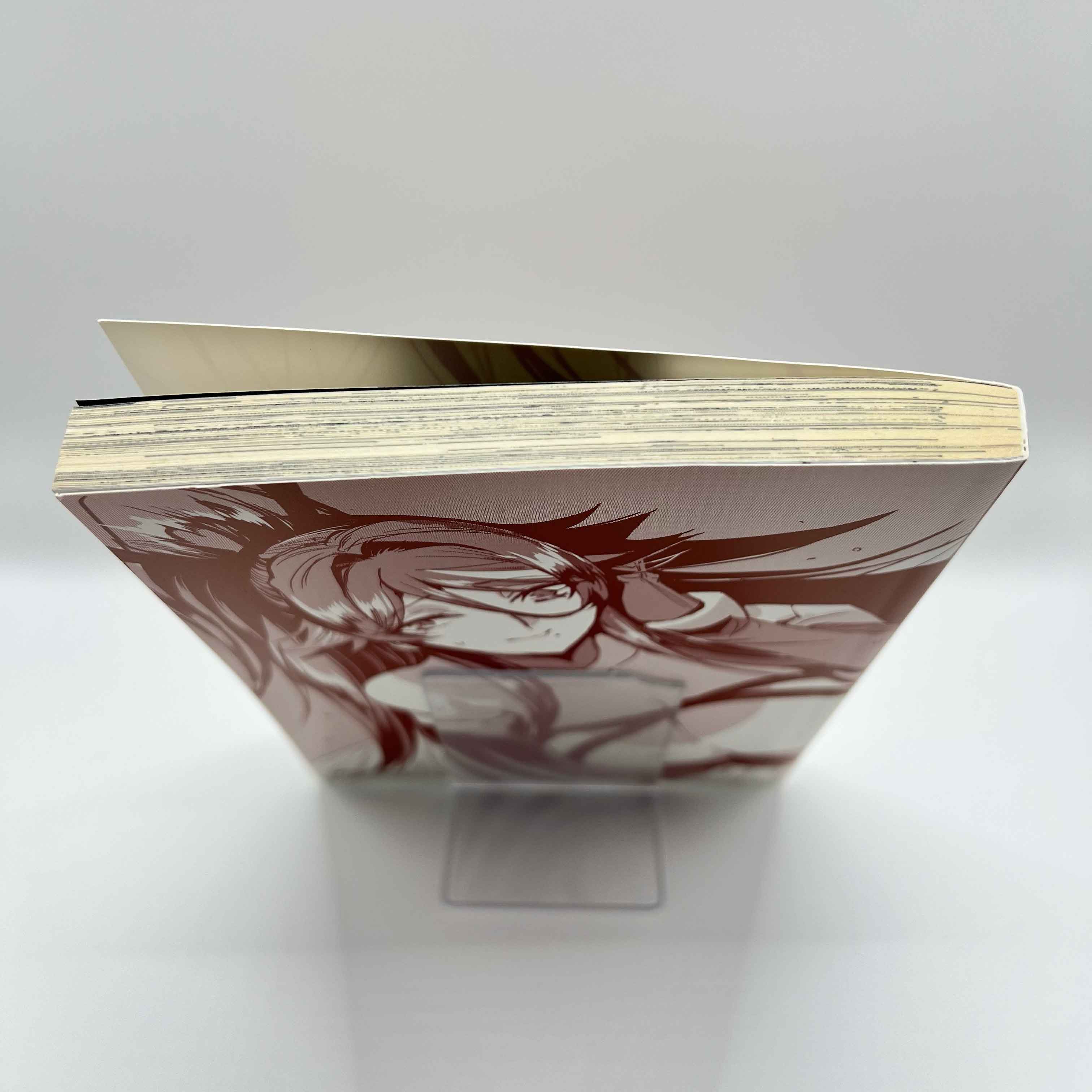 Dungeon Busters - Volume 01 /w Obi