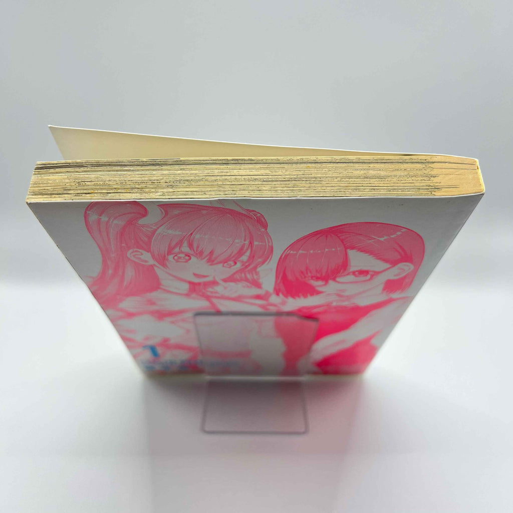 Ririsa of 2.5 Dimension - Volume 01