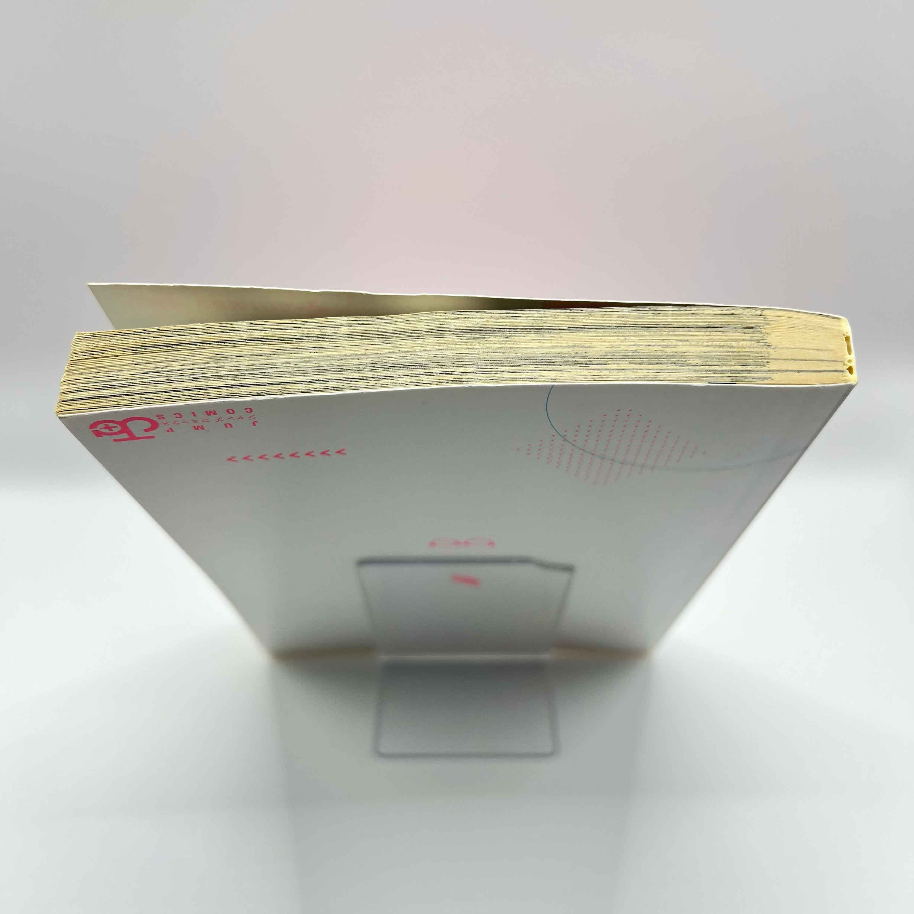 Ririsa of 2.5 Dimension - Volume 01