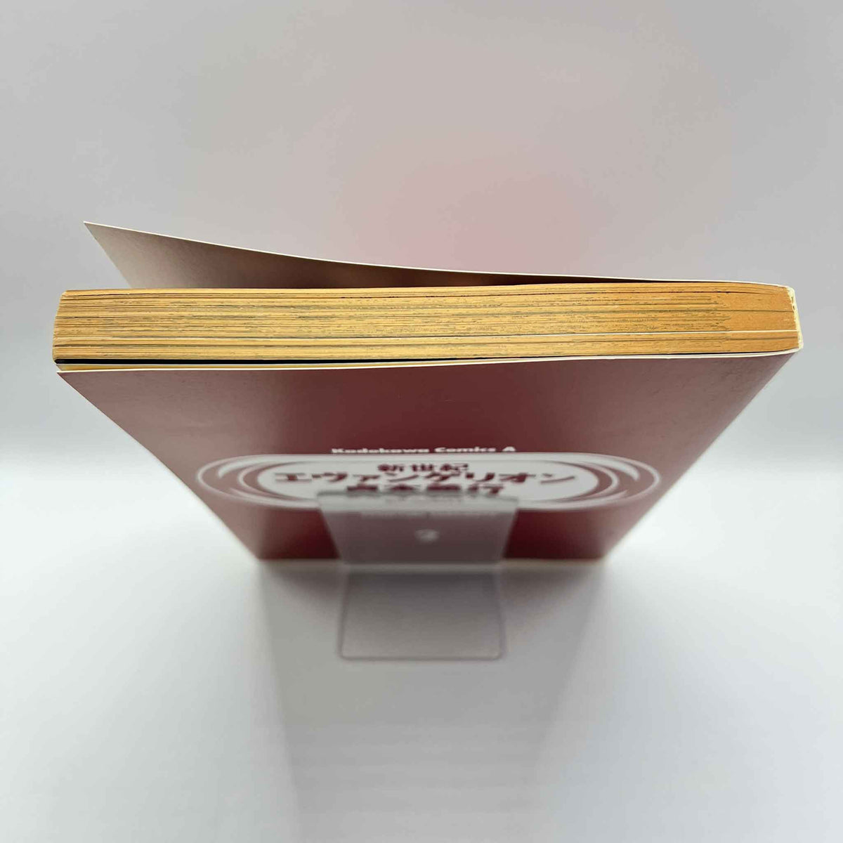 Neon Genesis Evangelion - Volume 02