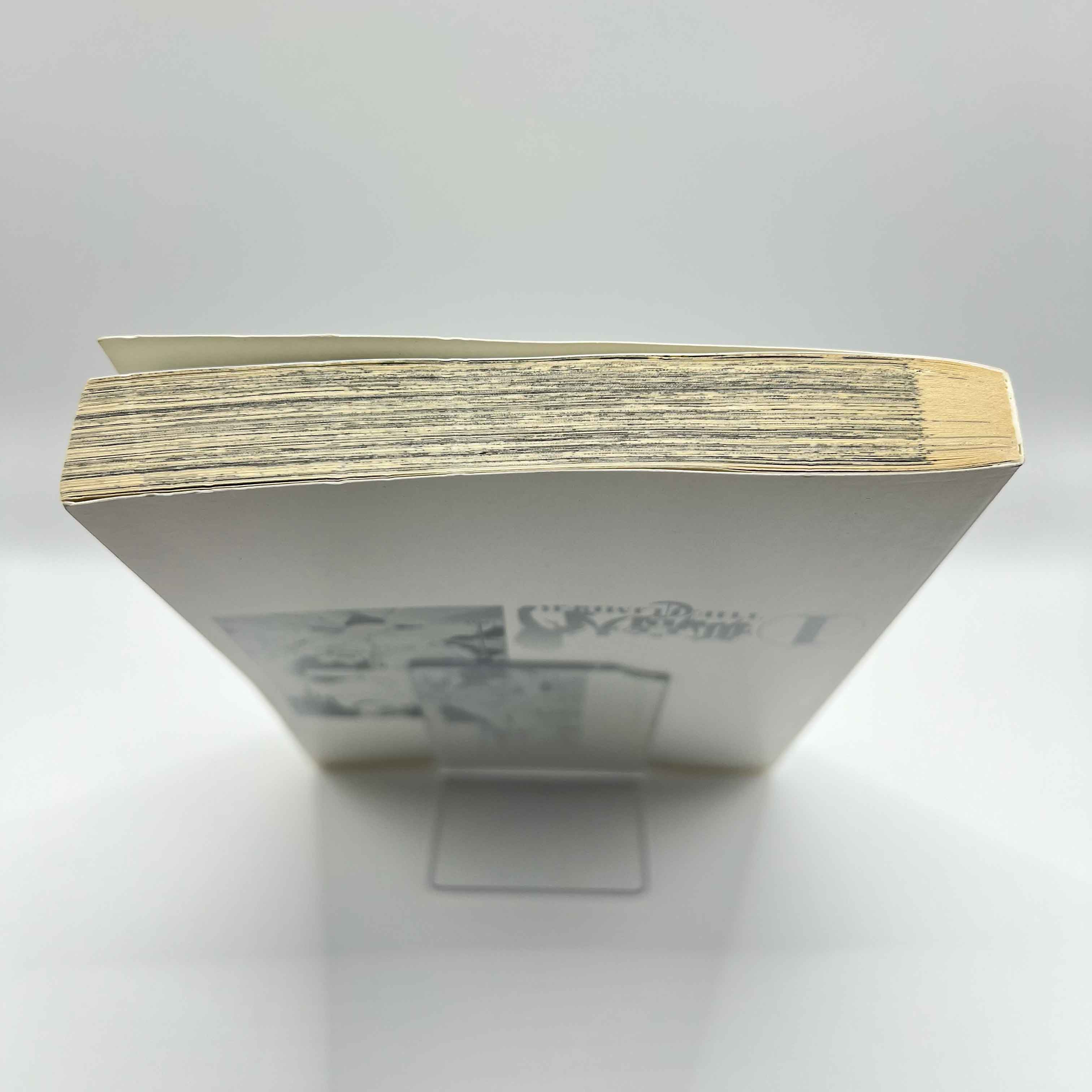 The Climber - Volume 01