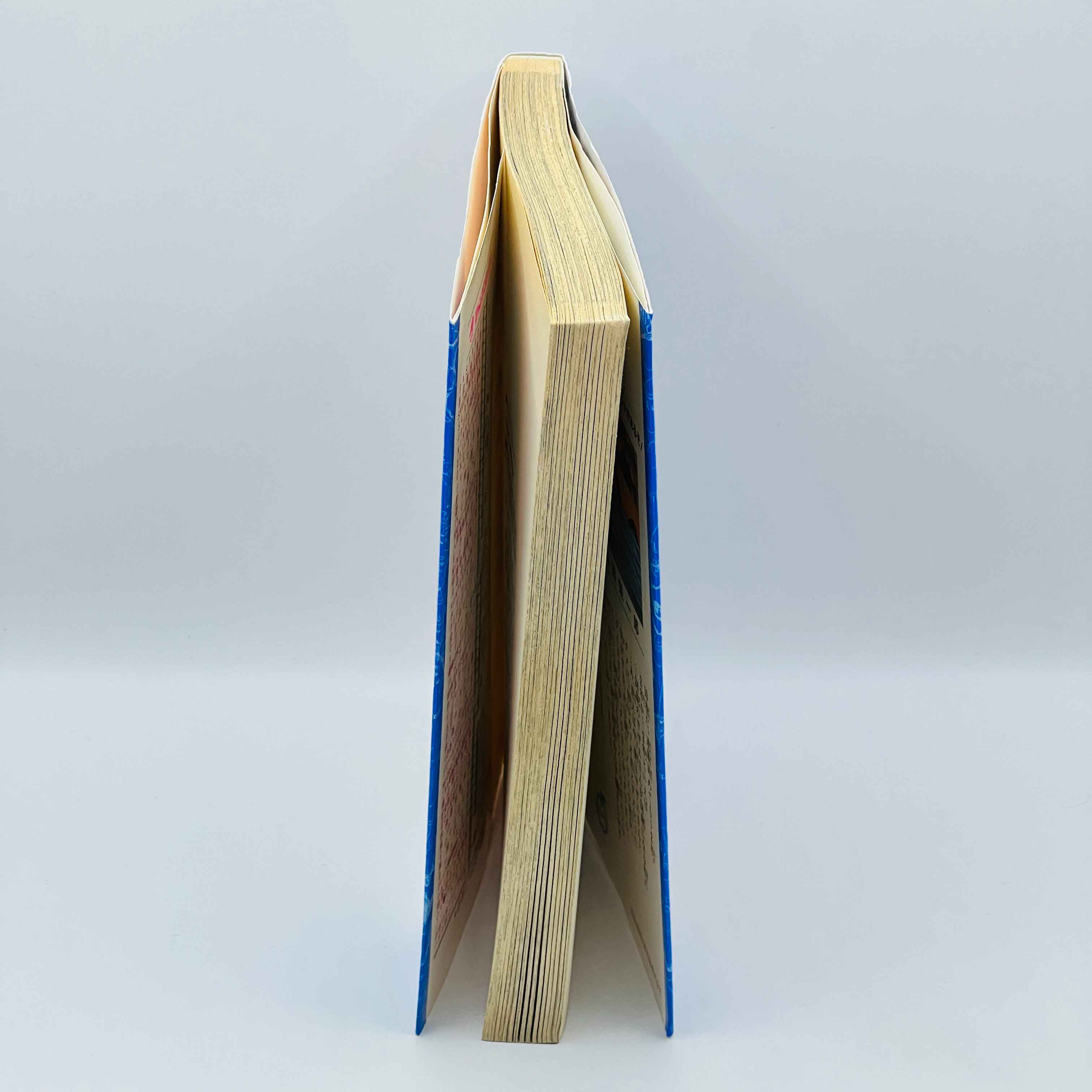 One Piece - Volume 10