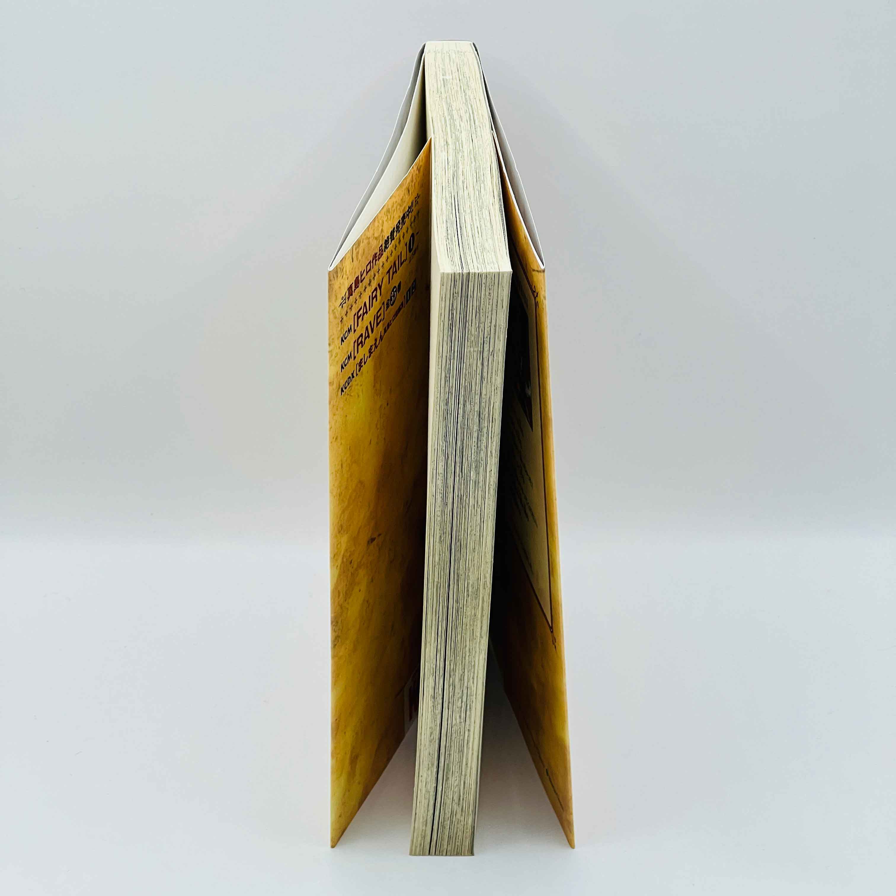 Fairy Tail - Volume 01