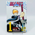 Bleach - Volume 01