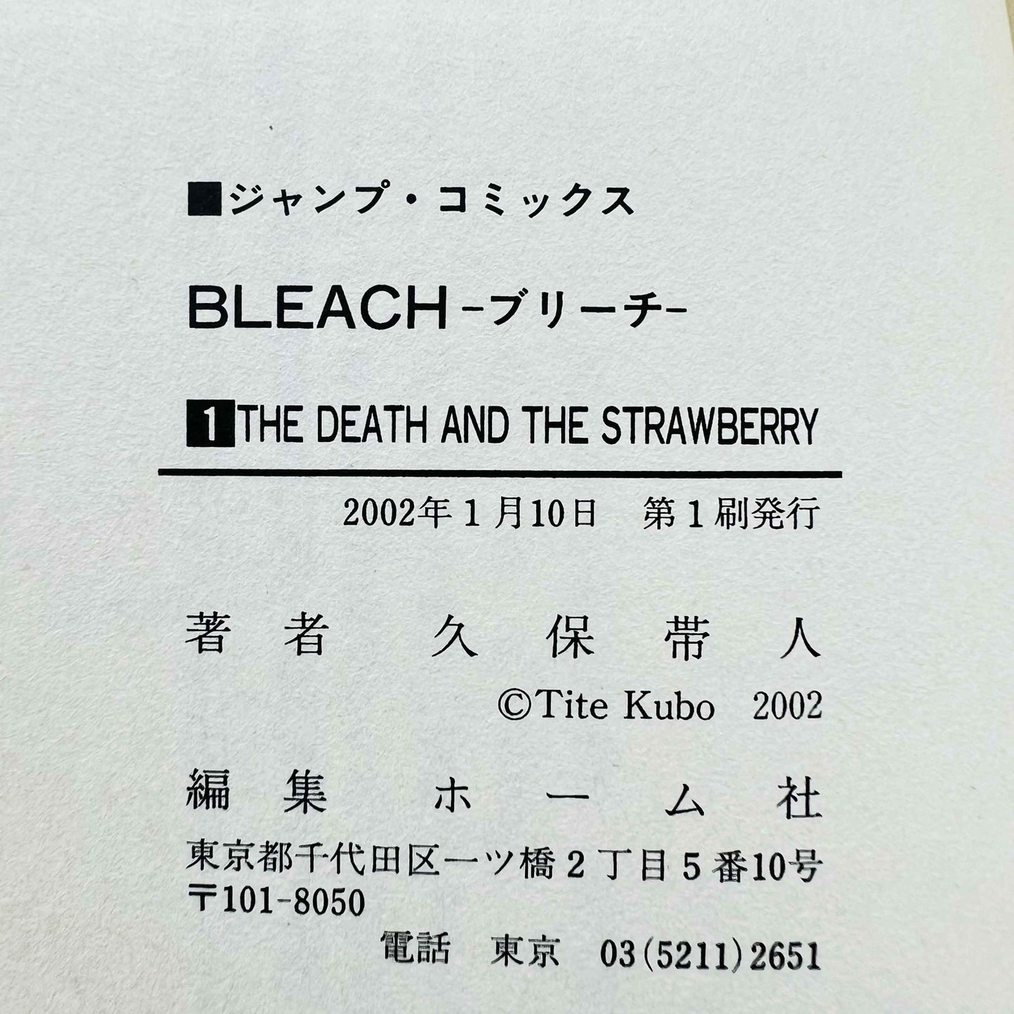 Bleach - Volume 01