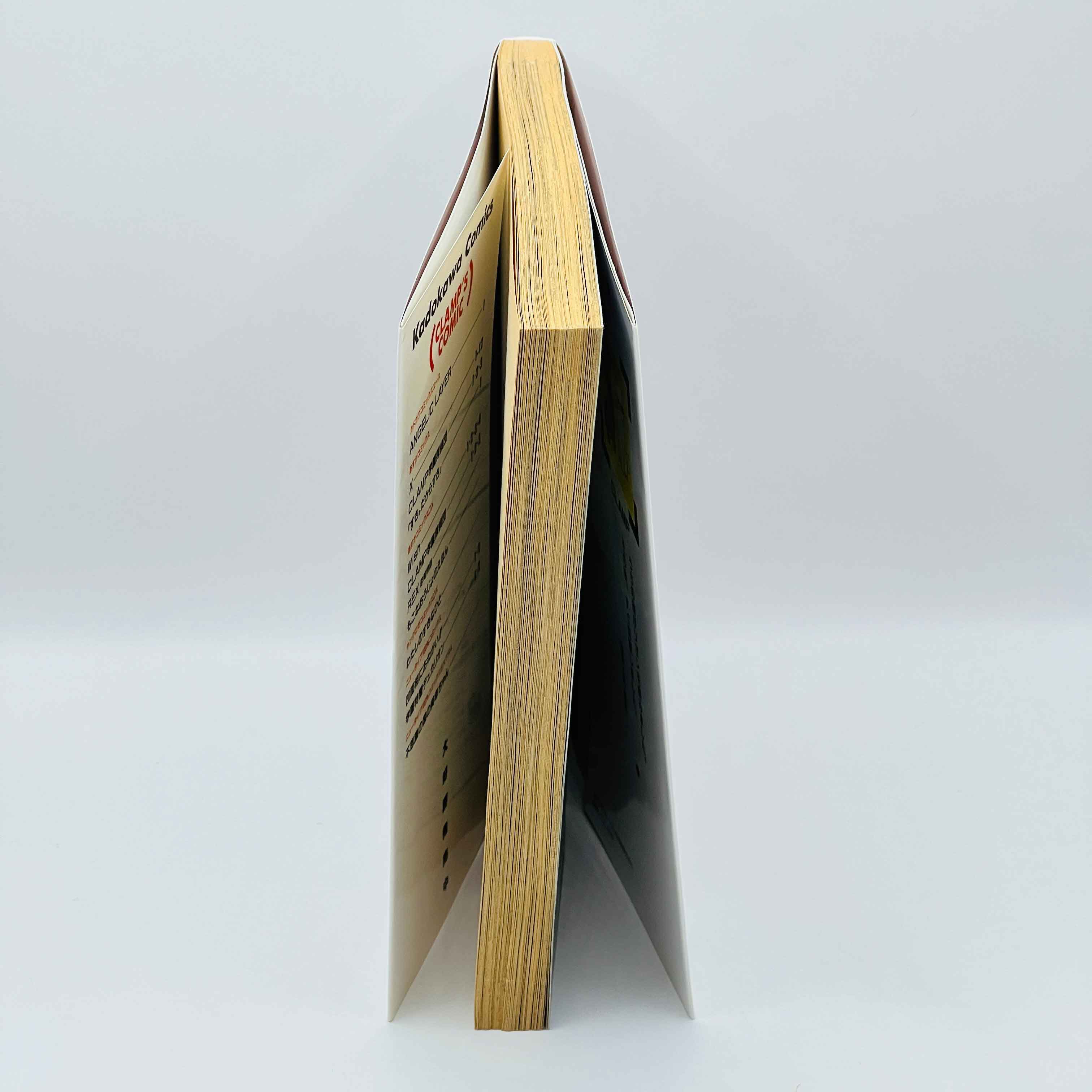 Angelic Layer - Volume 01