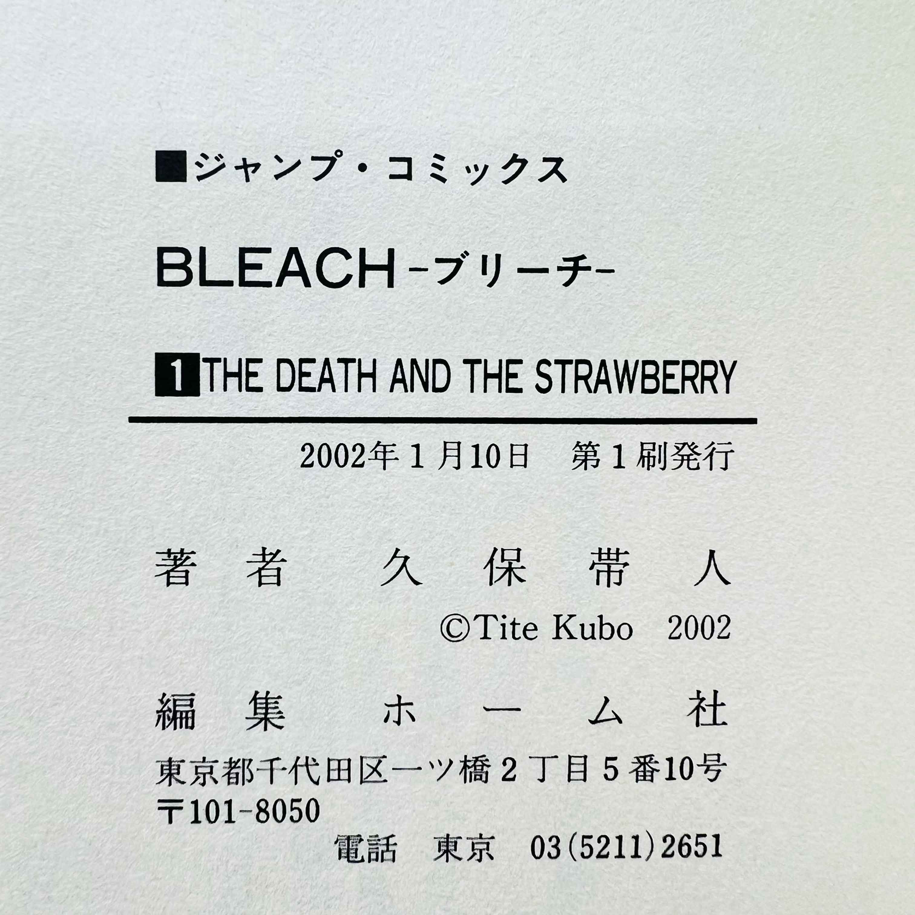 Bleach - Volume 01