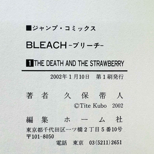 Bleach - Volume 01