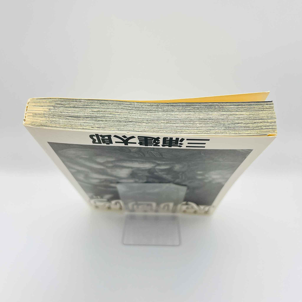 Berserk - Volume 35 /w Obi