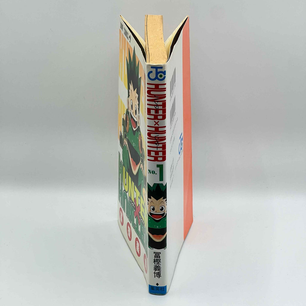 Hunter x Hunter - Volume 01