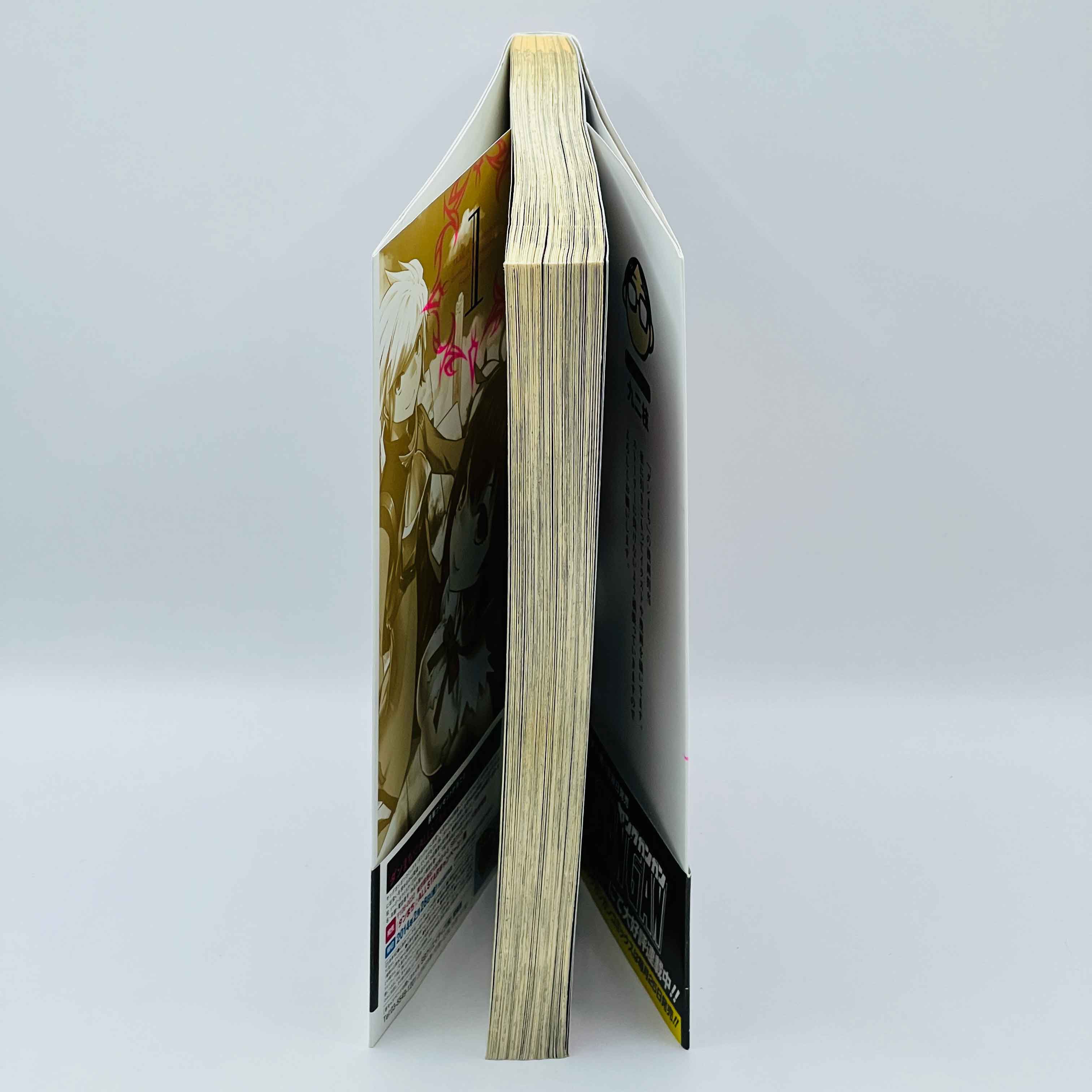 Is It Wrong to Try to Pick Up Girls in a Dungeon ? - Volume 01 /w Obi