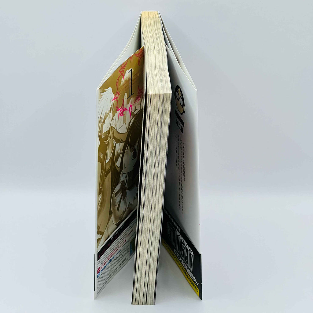 Is It Wrong to Try to Pick Up Girls in a Dungeon ? - Volume 01 /w Obi