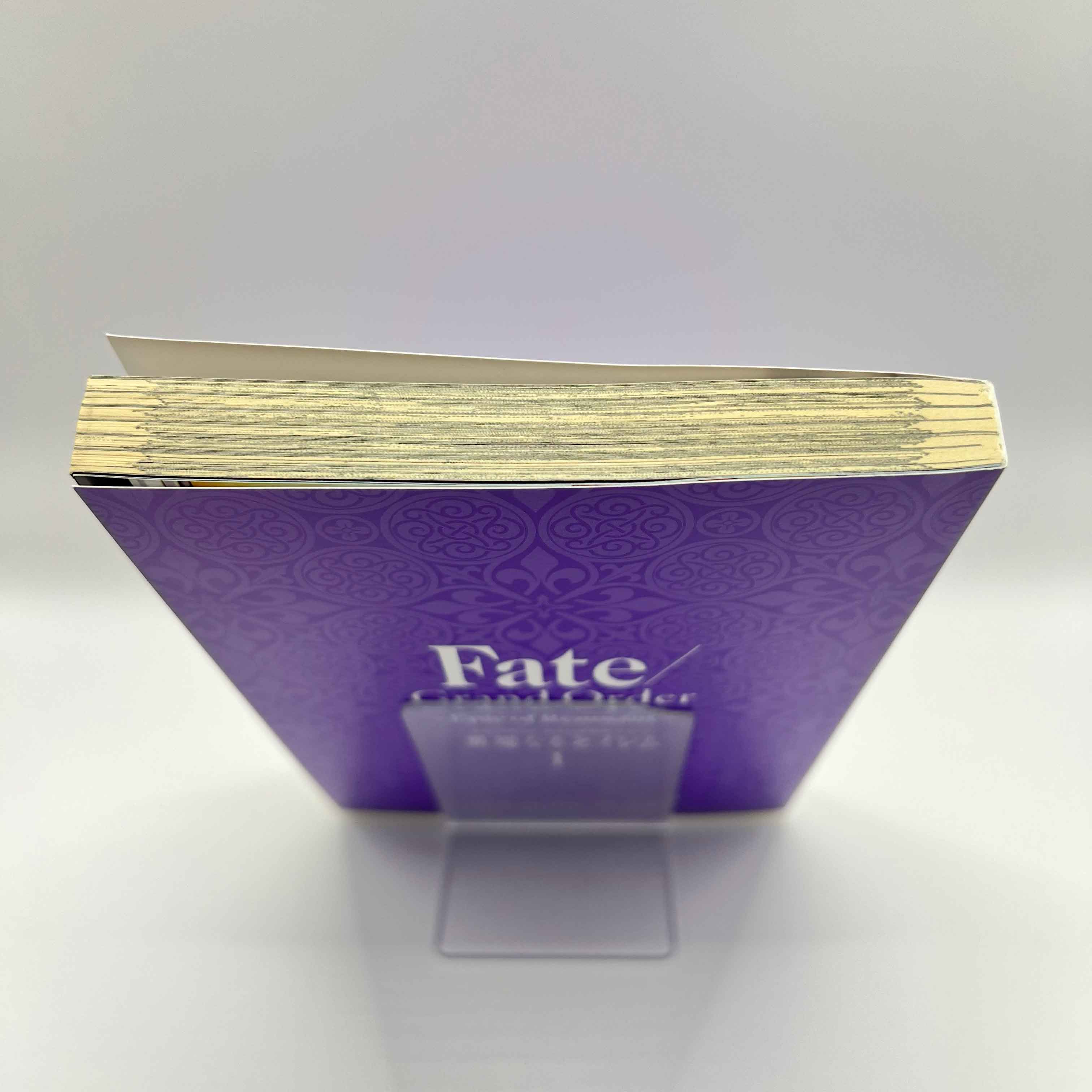 Fate / Grand Order : Epic of Remnant Pseudo Singularity IV Salem - Volume 01