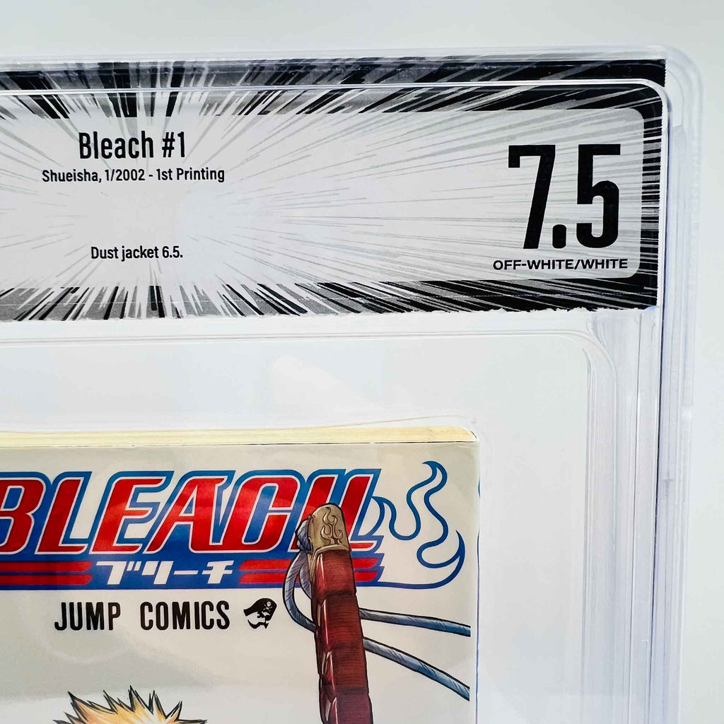 BGS 7.5 - Bleach Volume 01