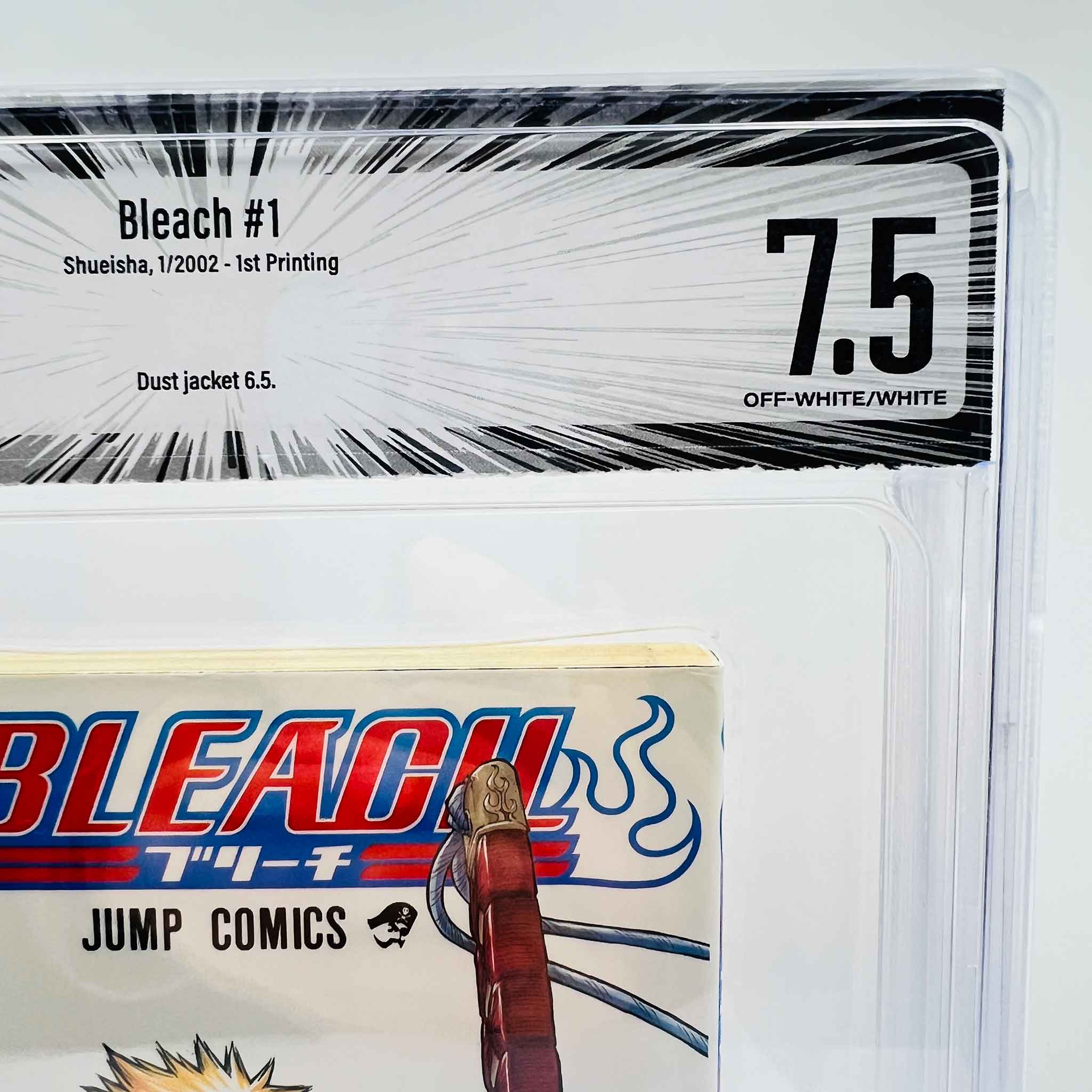 BGS 7.5 - Bleach Volume 01