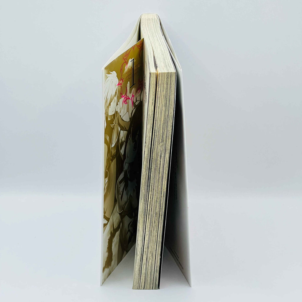 Is It Wrong to Try to Pick Up Girls in a Dungeon ? - Volume 01