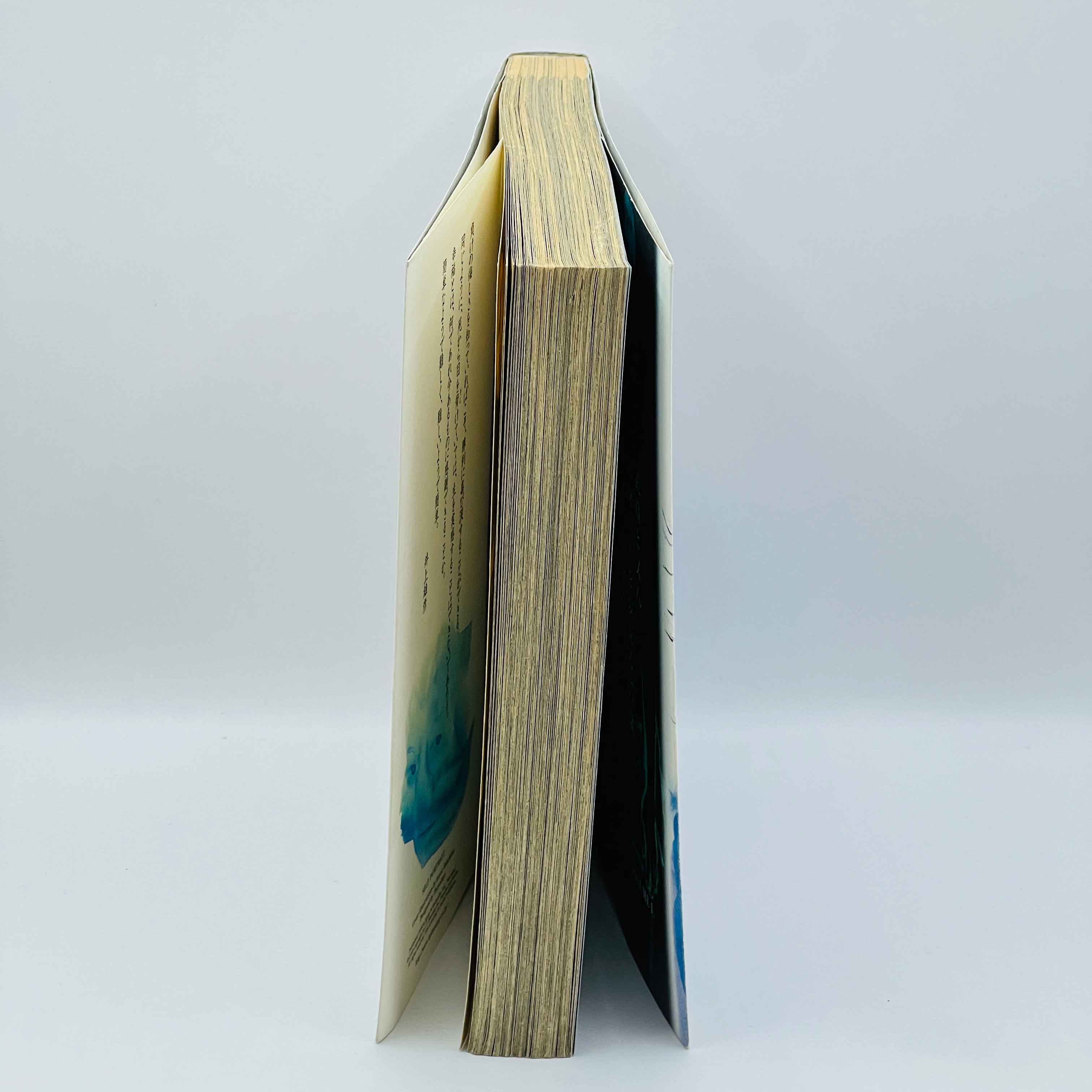 Vagabond - Volume 01