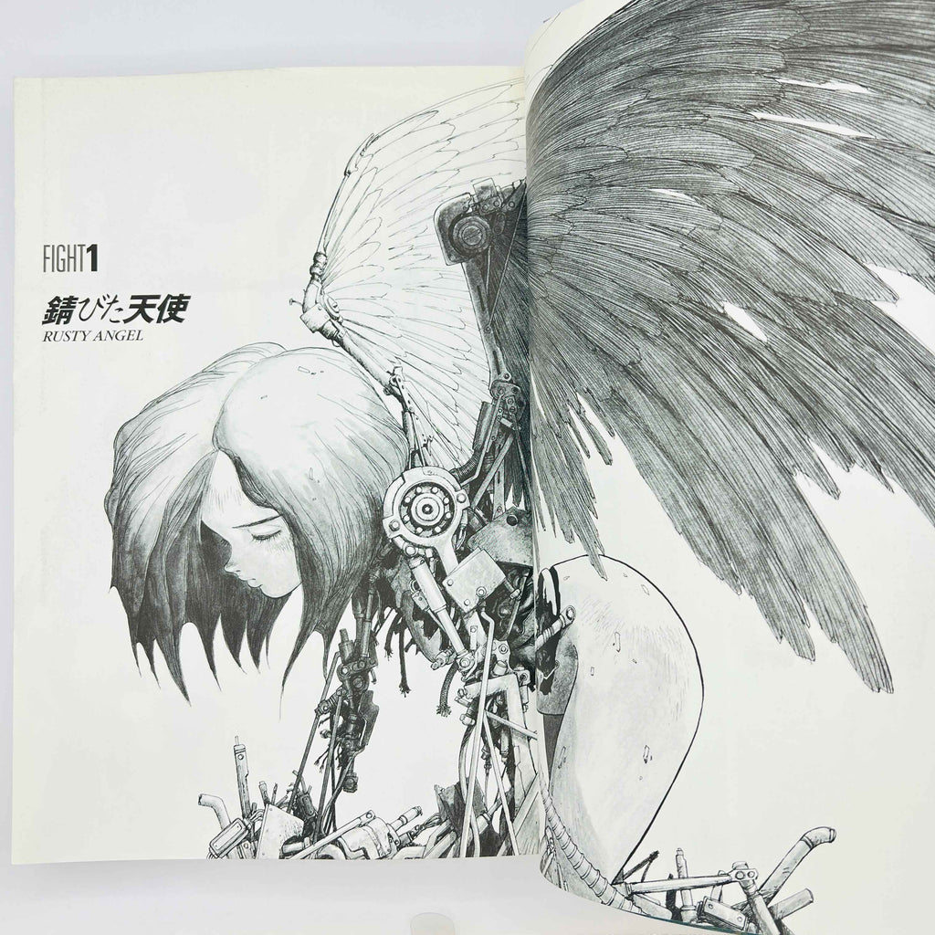 Gunnm (Complete Edition) - Volume 01