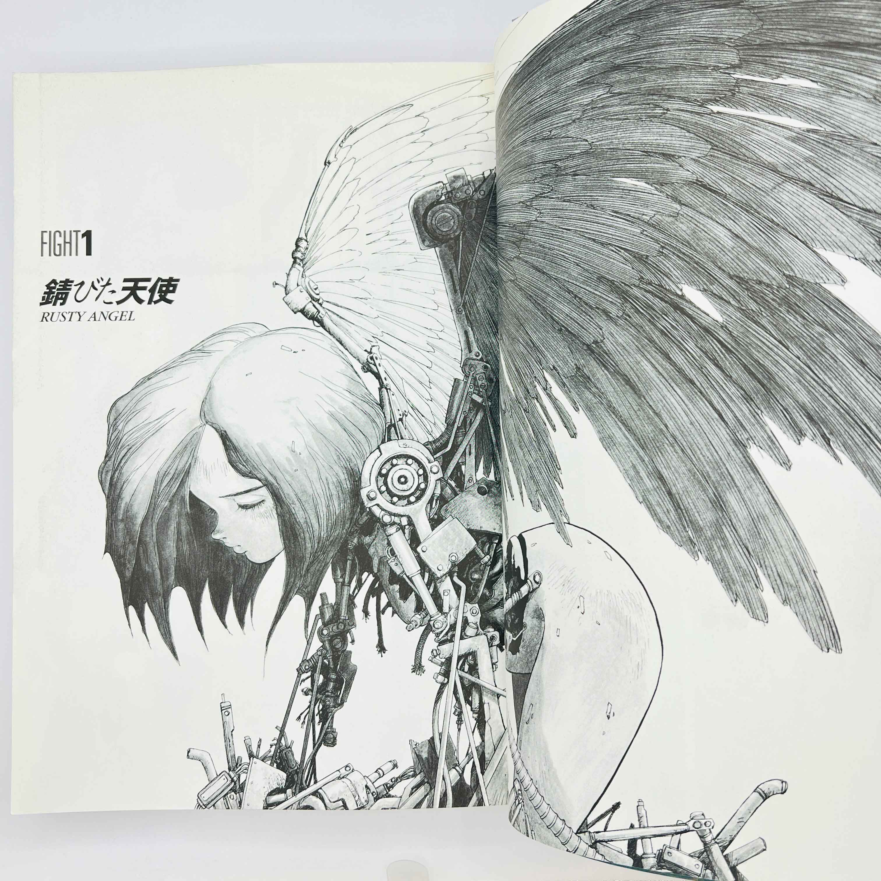 Gunnm (Complete Edition) - Volume 01