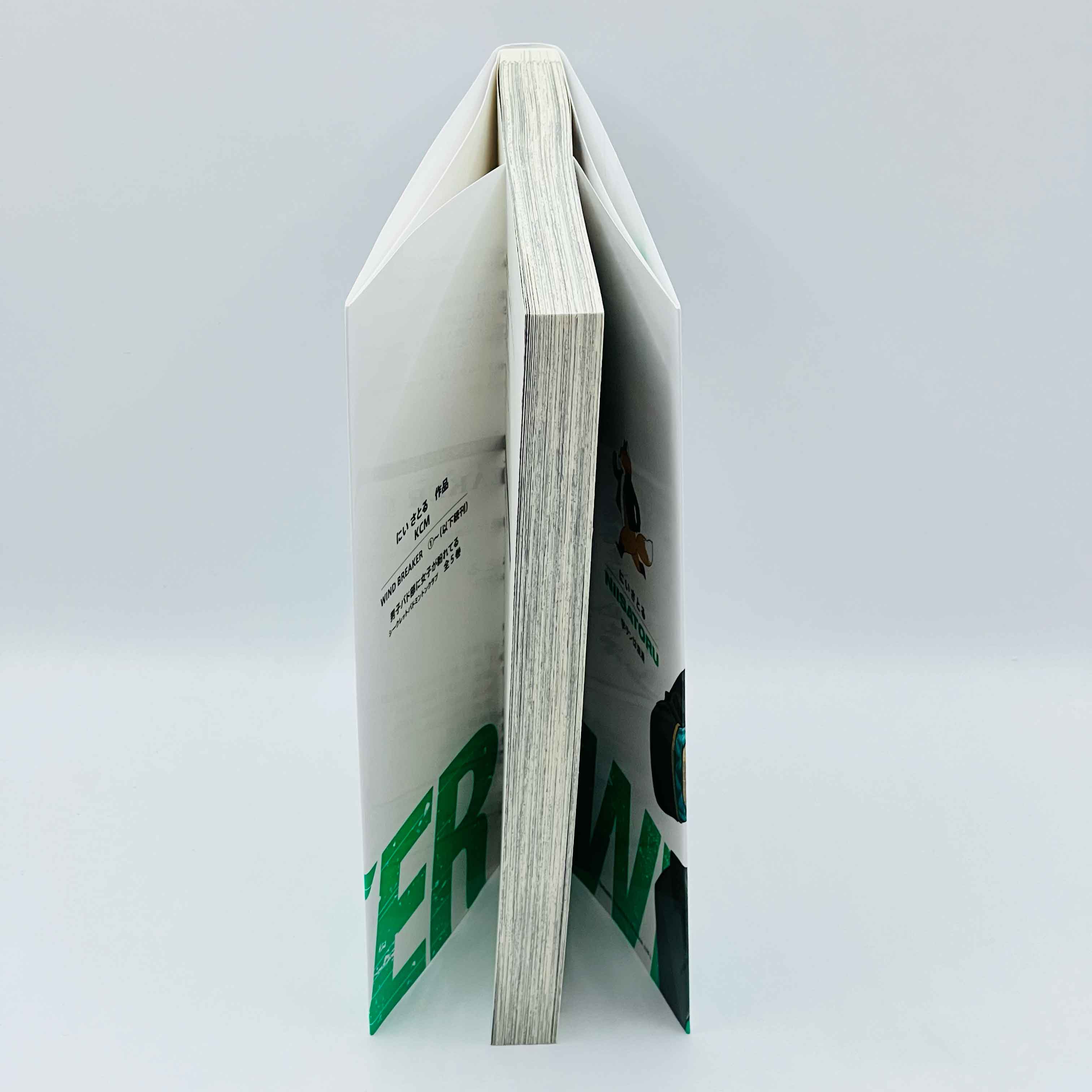 Wind Breaker - Volume 01