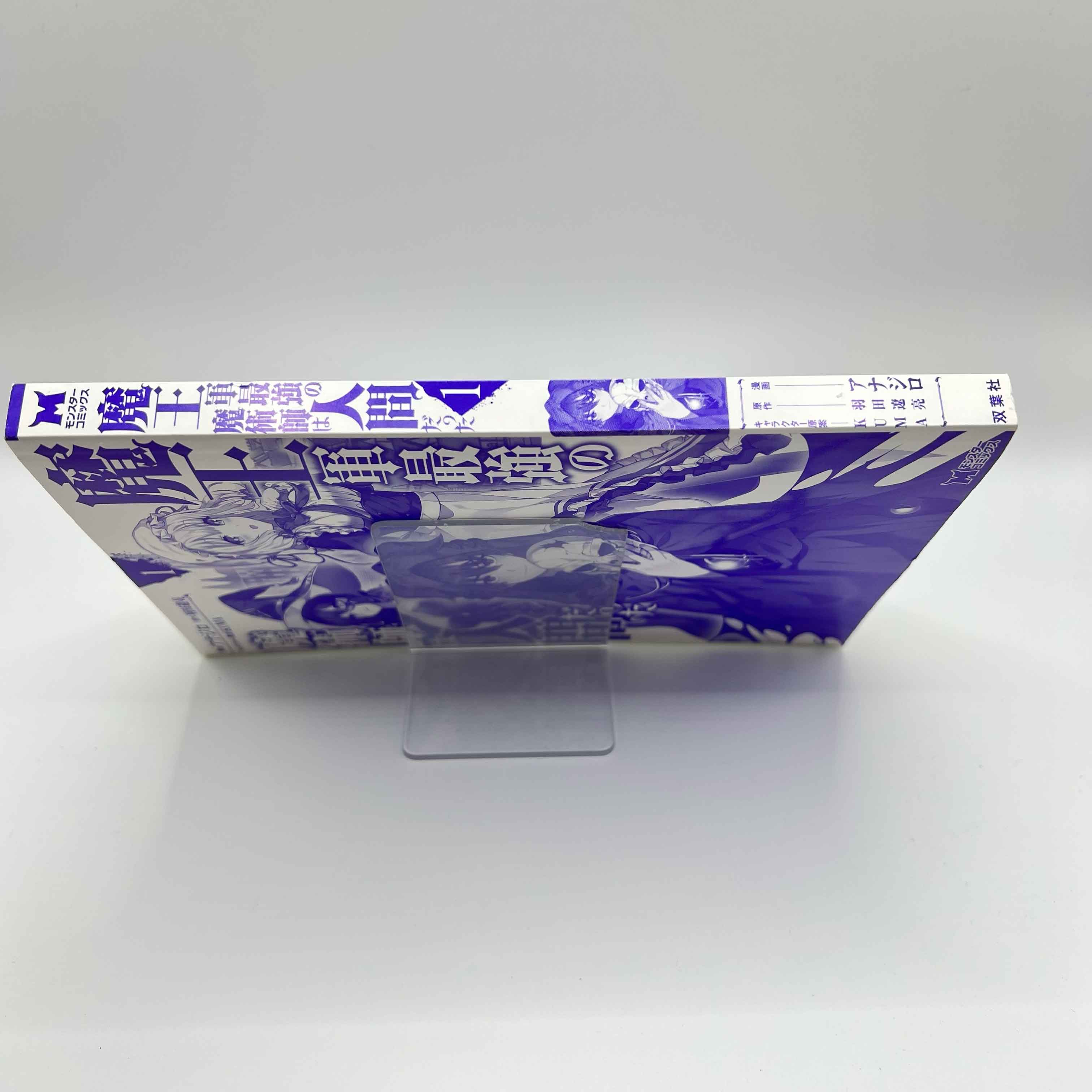 The Strongest Magician in the Demon Lord's Army Was a Human - Volume 01