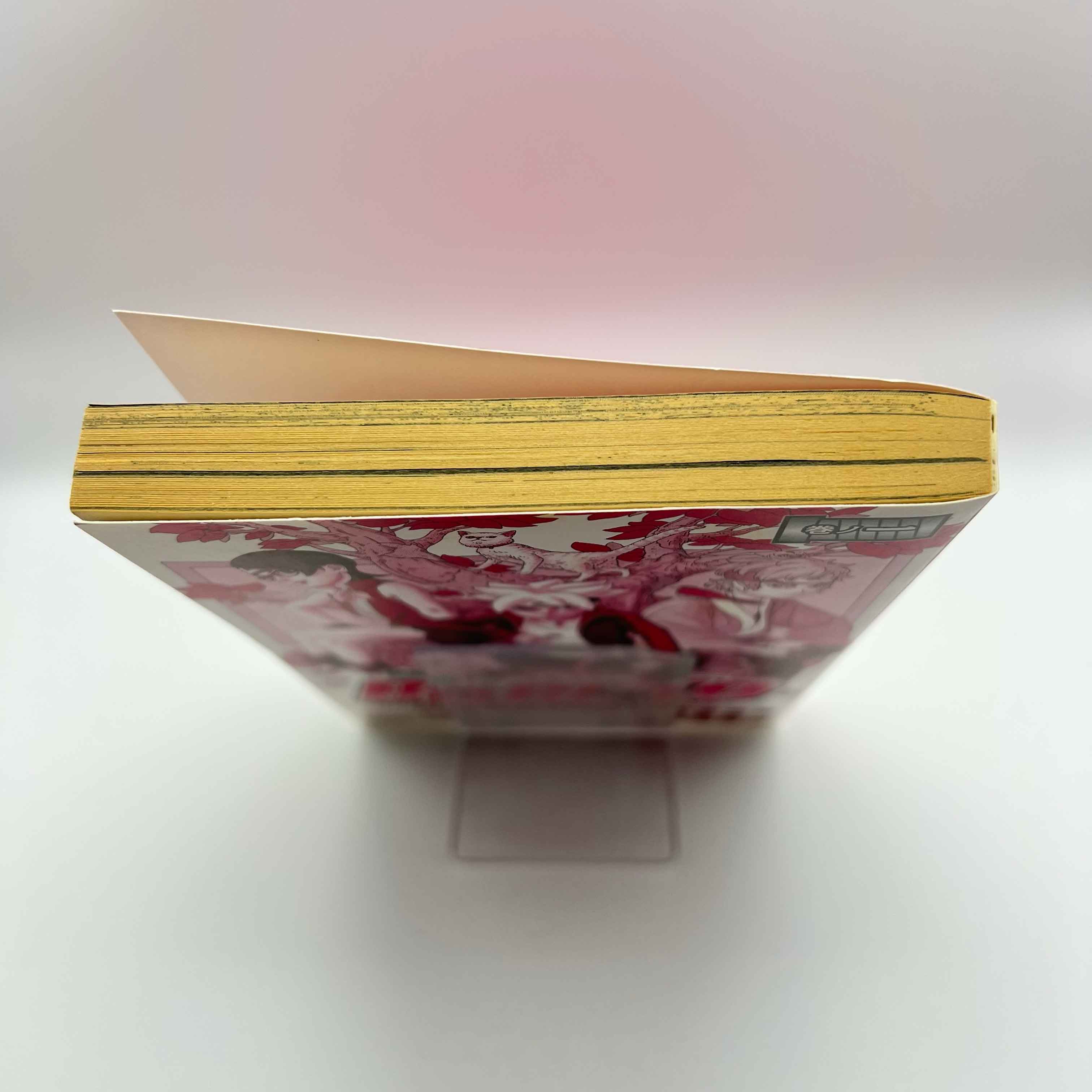 Boruto Naruto Next Generations - Volume 01 /w Obi