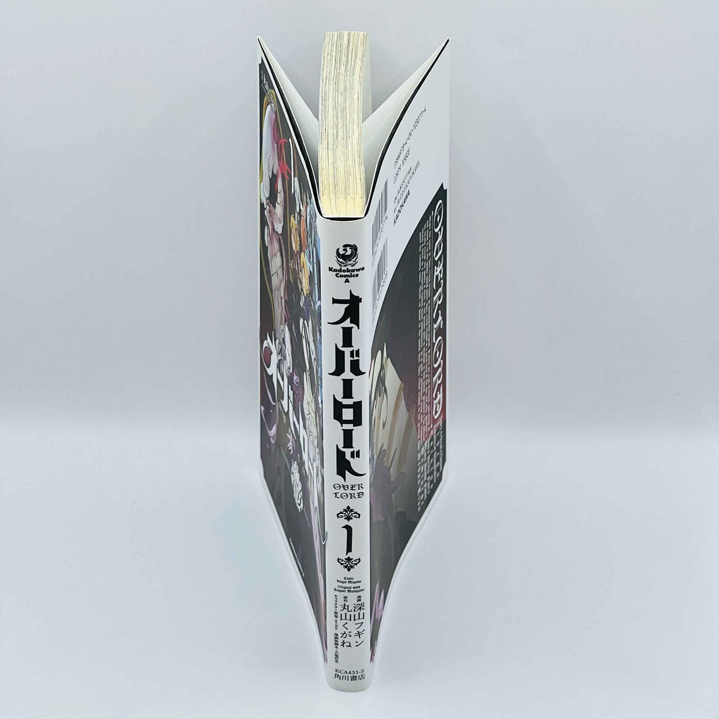 Overlord - Volume 01