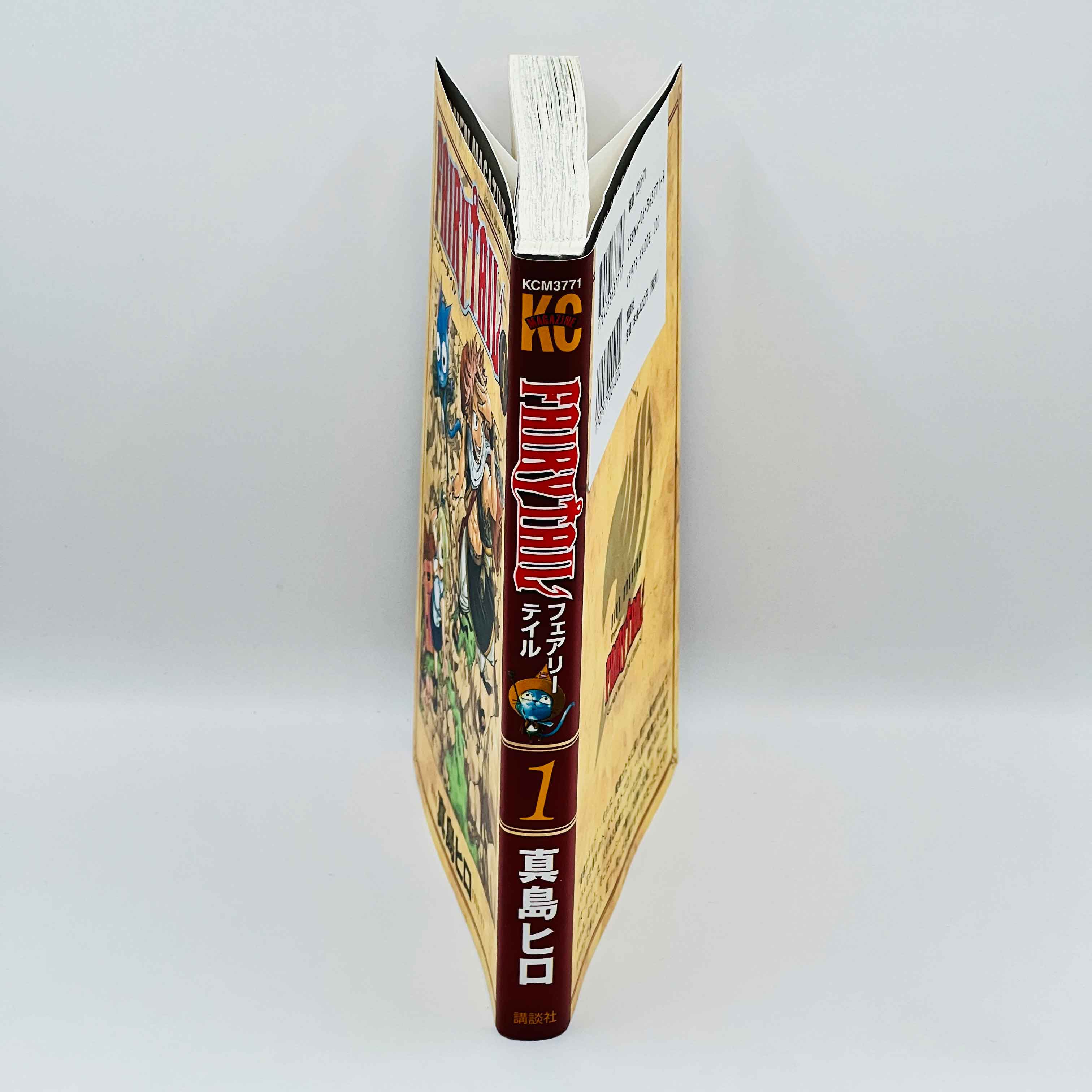 Fairy Tail - Volume 01