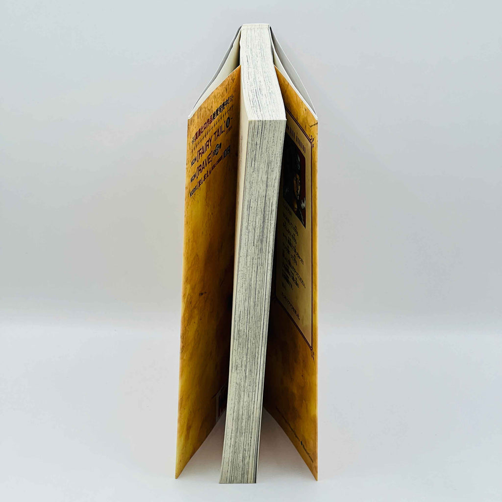 Fairy Tail - Volume 01