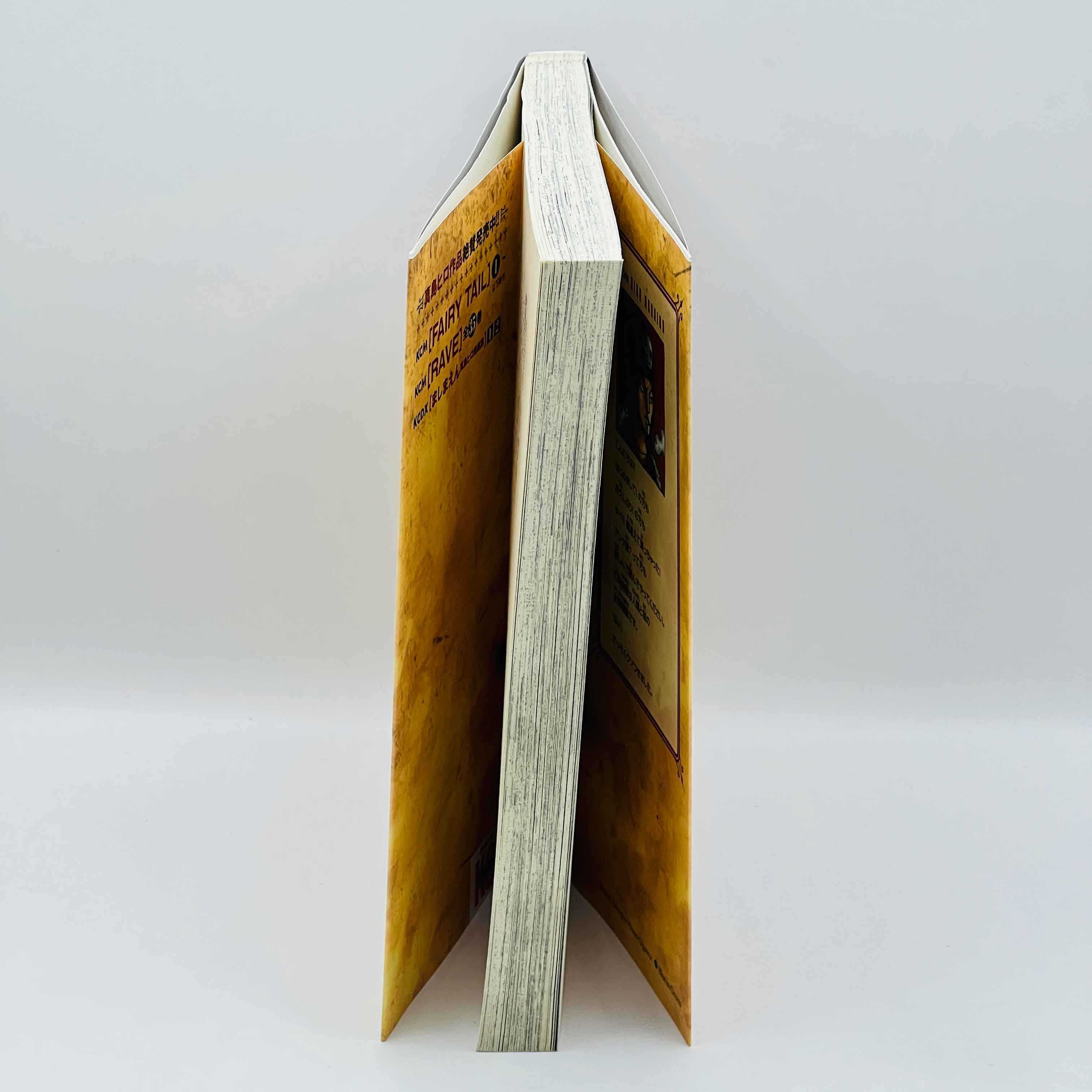 Fairy Tail - Volume 01