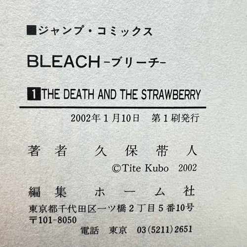 Bleach - Volume 01