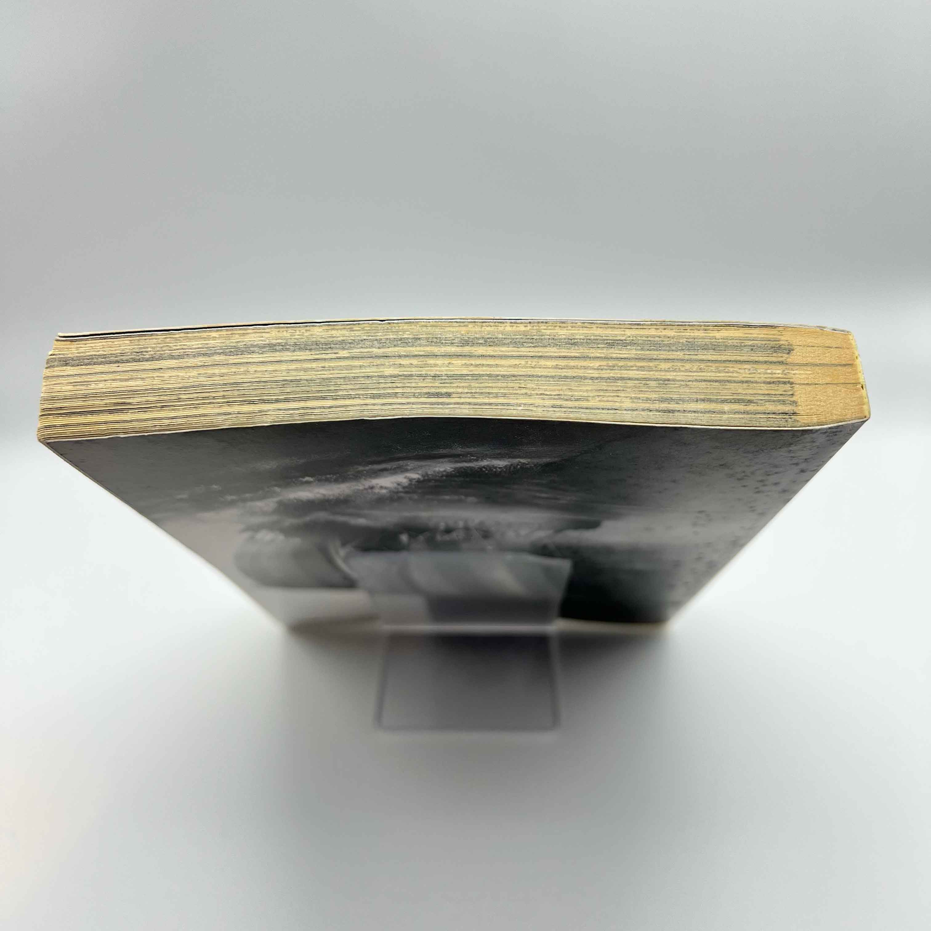 Vinland Saga - Volume 01